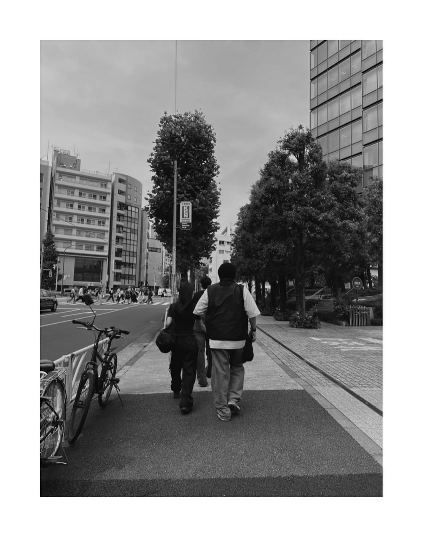 콘텐츠