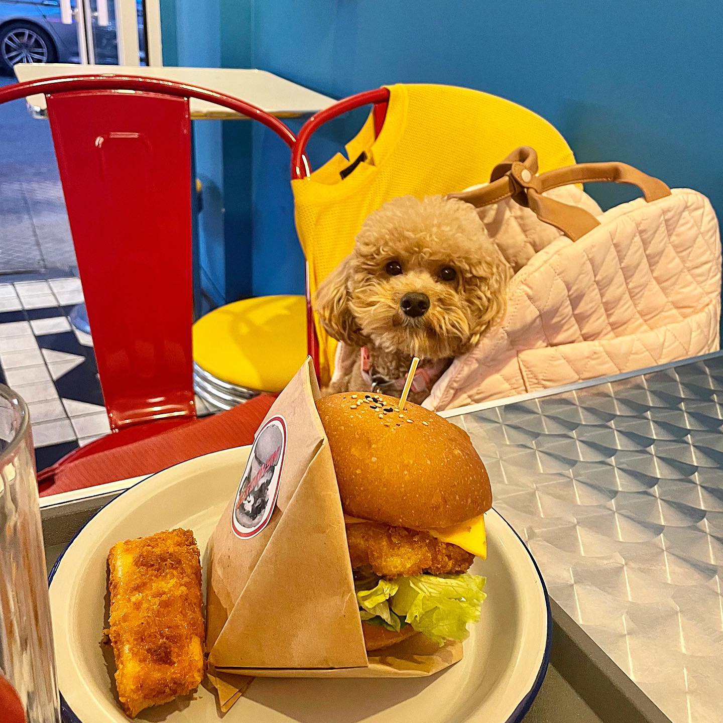 룽지랑 수제버거집 🍔🍔
커넥트몽 구름백에서 얌전히 기다리는 우래기 🐶💕