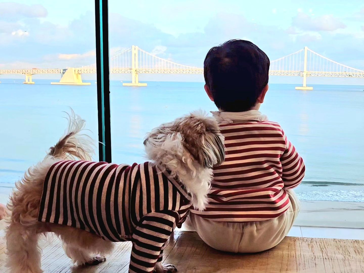 나의 사랑둥이들 🧒🏻❤️🐶
남편한테 배코 빨간색줄무늬티 입혀라고 했는데 배코를 못 듣고
호감이에게 입힌 ㅋㅋㅋ
덕분에 예상치못한 커플룩이요❤️🤍
너무나 귀엽고 사랑스럽습니다 절절😘😘😘😘😘