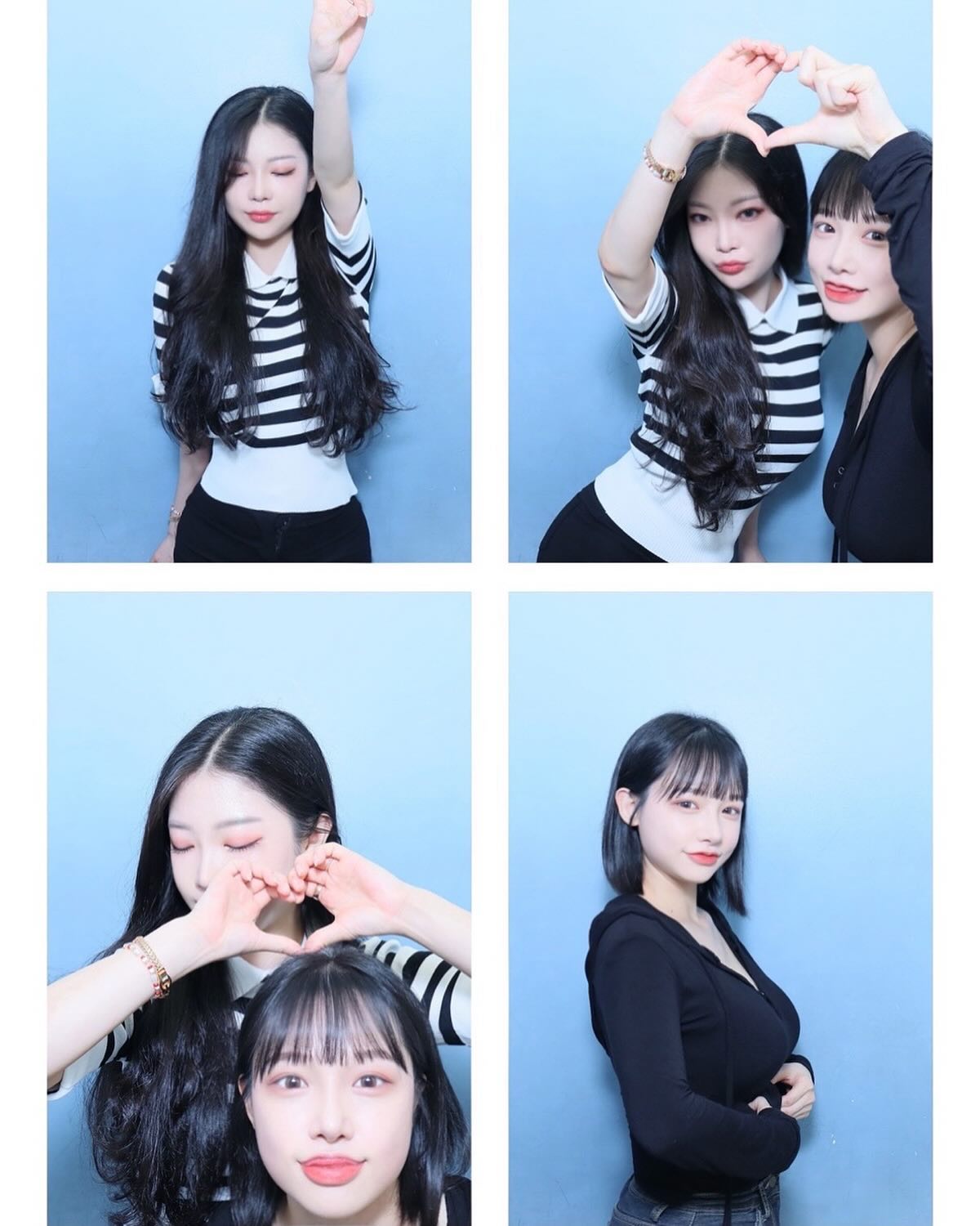 개와 고양이 🐶🐱