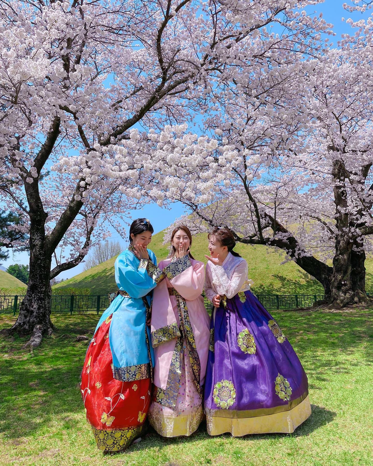 230328 🌸

경주 대릉원

우리의 취향은 전혀다르지만,
같이있을때 웃느라 정신없는 가족여행💓

📍 경북 경주시 황남동 31-1
🚗 유료 주차장이 있지만, 만차가 금방 되기때문에 숙소에 주차 후 도보방문을 추천드려요!
💳 입장료 : 어른(3000원)/어린이(1000원)

💡경주에서 처음 입어본 #신라한복 은 아직 대여점이 많지않고 종류도 다양하지 않지만,
경주의 분위기와 너무 찰떡이니 꼭 추천드려요!!

#경주 #경주대릉원 #경주여행 #경주벚꽃 #신라복