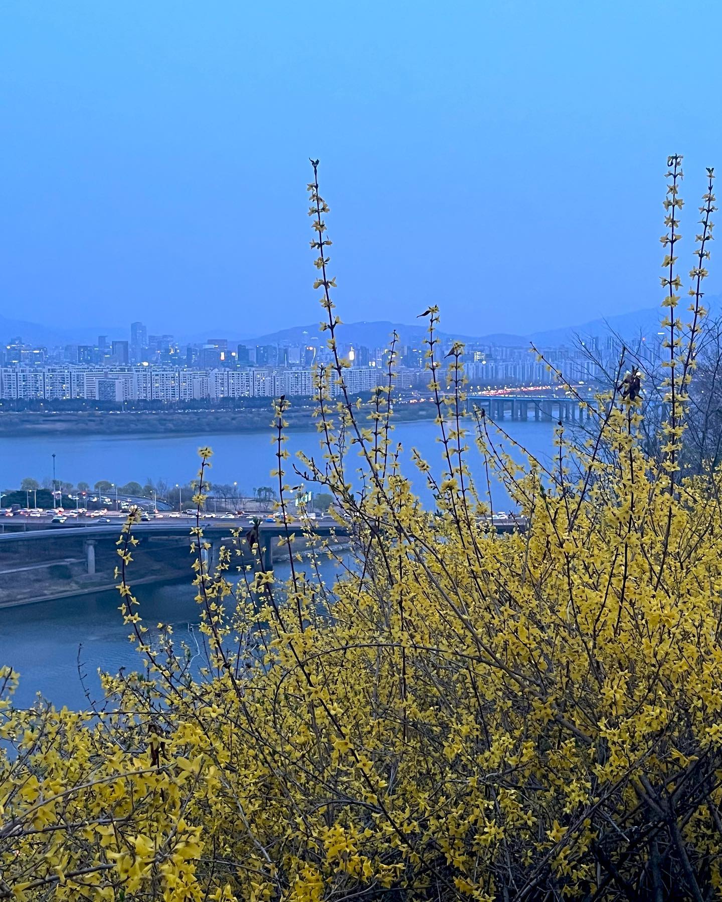 웃는게 나랑 똑같은 엄마랑 🌼