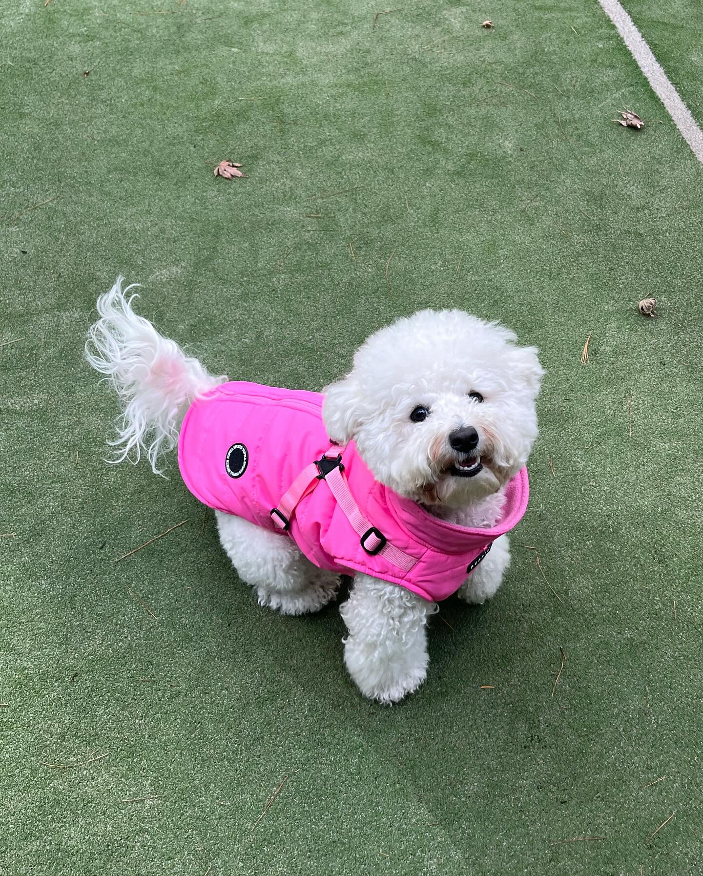 핑크🩷🌺🎀