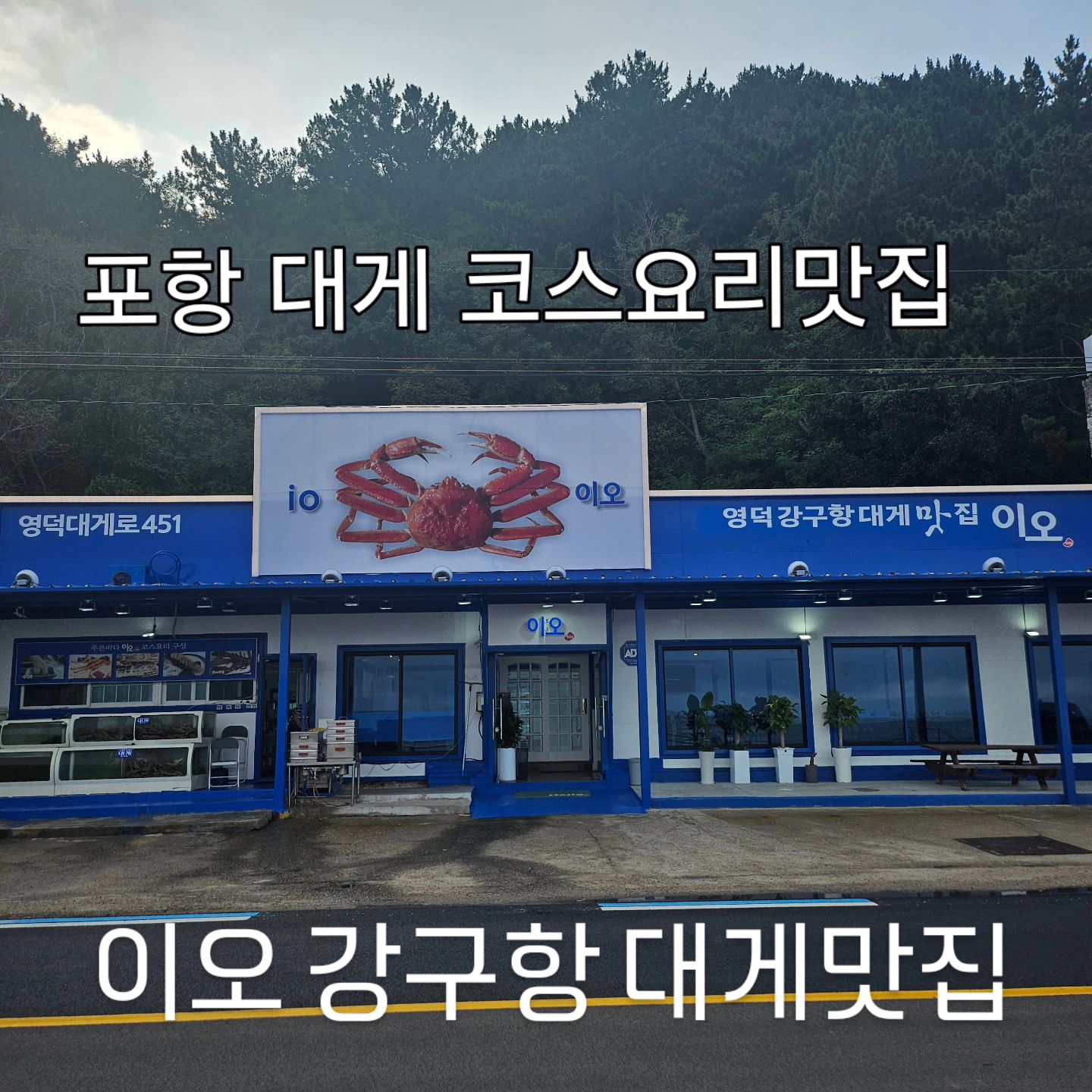 #협찬 #이오 #강구항 #대게코스요리