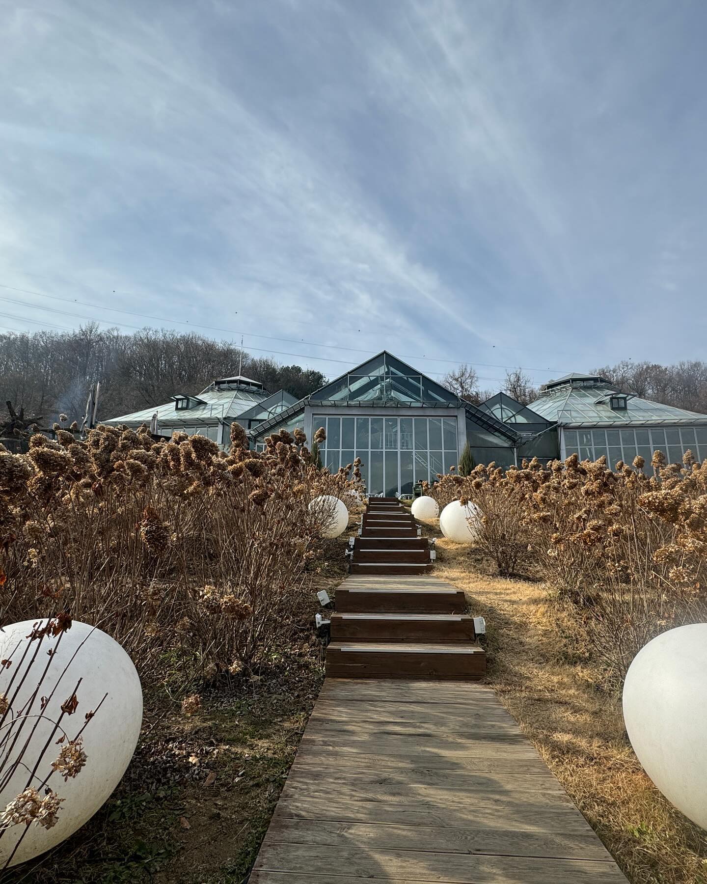 오늘 일하는 곳은 #비루개카페 식물원이 있어서 겨울에도 뭔가 푸릇함을 느낄 수있는 곳!

그런데 너무 습하다는 단점이 있음. 입장료도 따로 인당 500원 들어감.
빵 종류는 카스테라 하나. 이것도 별로. 쿠키는 몇 가지 있음.
그냥 겨울에도 푸릇푸릇한 느낌 받고 싶으면 #겨울데이트장소 추천