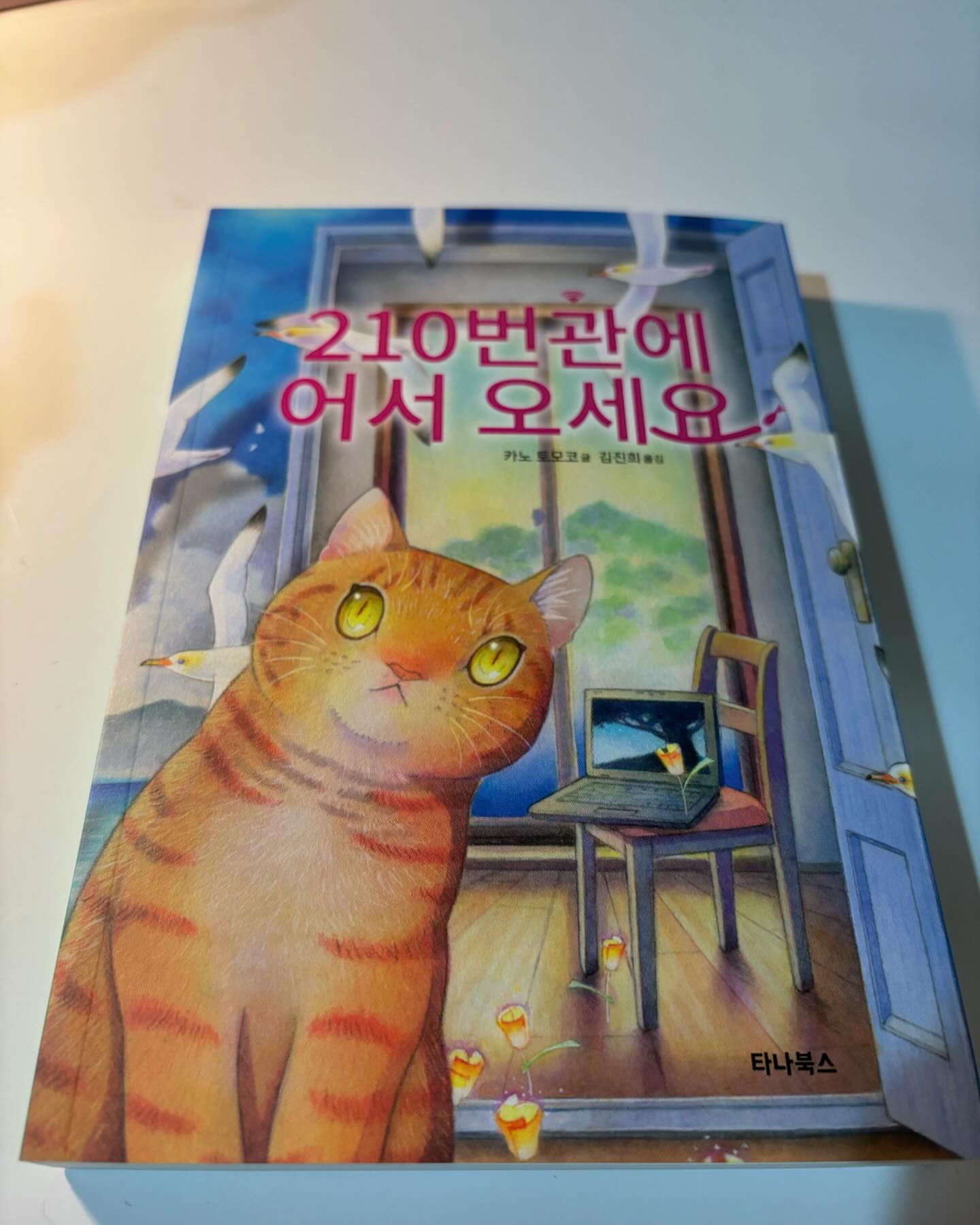 #협찬 210번관에 어서 오세요

요즘 이것저것 야외 활동도 하기 참 좋은 날인데, 책 읽기도 역시 좋은 날이라 이번에 새로 나온 신간 추리소설인 '210번관에 어서오세요.'를  읽어보았어요:) 

게임은 열심히 하면 할수록 레벨이 올라간다. 어려운 보스를 처치하면 성취감도 들고, 희귀 아이템을 손에 넣으면 신도 난다. 팍팍한 현실에 비하면 대단히 충실한 세계였다.
210번관에 어서오세요 중,, 

서른이 가까워지는 나이, 주인공은 취업이 되지 않자 인터넷 게임의 세계로 현실을 도피해 버립니다. 그러던 중 큰외삼촌이 돌아가시며 주인공에게 유산으로 외딴섬 안의 건물한 채를 남기게 되죠.🎃

주인공이 그 섬에 방문하던 날 부모님은 그 섬안의 건물에게로 주인공을 강제 독립시켰어용! 

도시와는 전혀 다른 섬 안의 상황을 마주한 주인공은 좌절하기도 했지만... 앞으로 당분간은 살아야 할 곳이니 좋아하는 게임이 가능할 정도의 인터넷 환경을 구축해요!

어떻게 보면 사회가 정한 시기에 학교를 졸업하고 취업하고 사회의 구성원으로 살아가는 방식의 삶을 살아가지 못하는 사람들이 모여 그들안의 사회를 구성하고 그 안에서 성장하는 이야기를 조금은 편안한 어투로 지어낸 이야기였어요.
​
쉽게 읽히고 잔잔한 여운이 남는 소설이었습니다.
특별하지 않은 사람들이 모여 만들어 내는 특별한 삶이 궁금하신 분들은 한번쯤 읽어보시면 좋을 것 같아요 :)
​

#장편소설
#소설책추천
#소설책
#한국소설
#소설
#국내소설
#소설스타그램
#도서추천
#문학동네
#책리뷰
#책소개
#단편소설
#북스타그램
#추천도서
#오늘의책
#소설추천
#웹소설추천 

​​