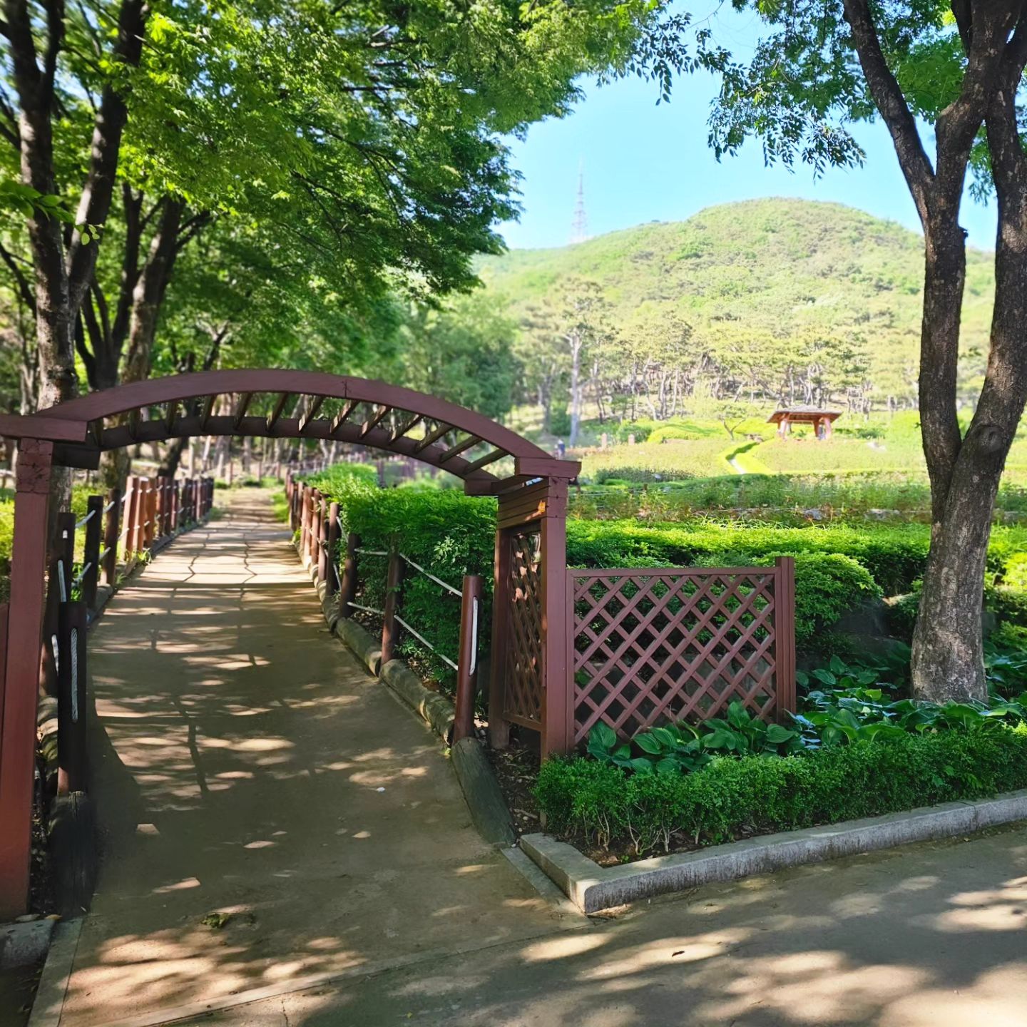 5-6월 가기 좋은 #장미원
바람도 선선하니 기분 최고!