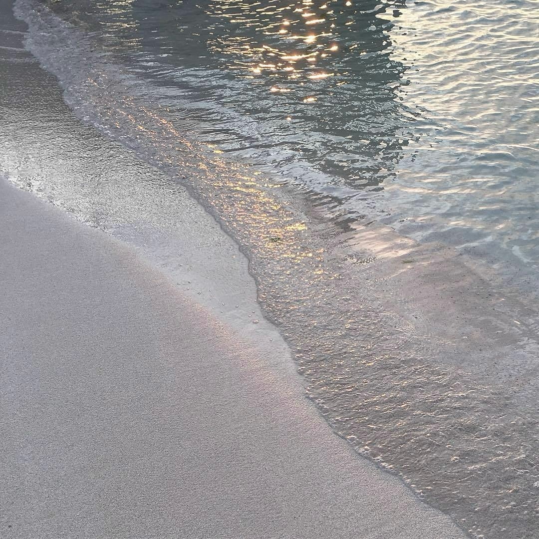 콘텐츠