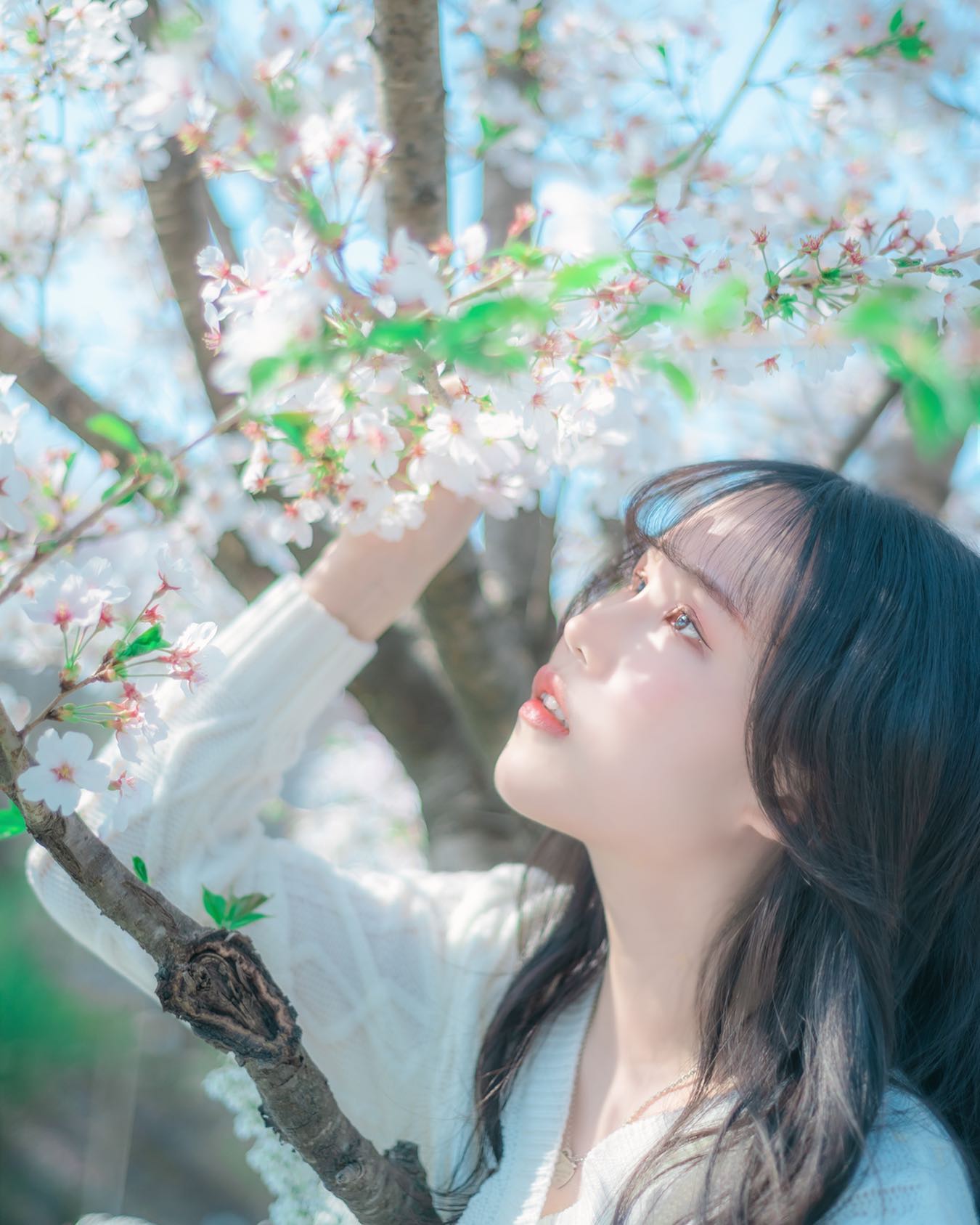 봄이 있었는데요 없어졌어요🌸

#봄 #사라지다