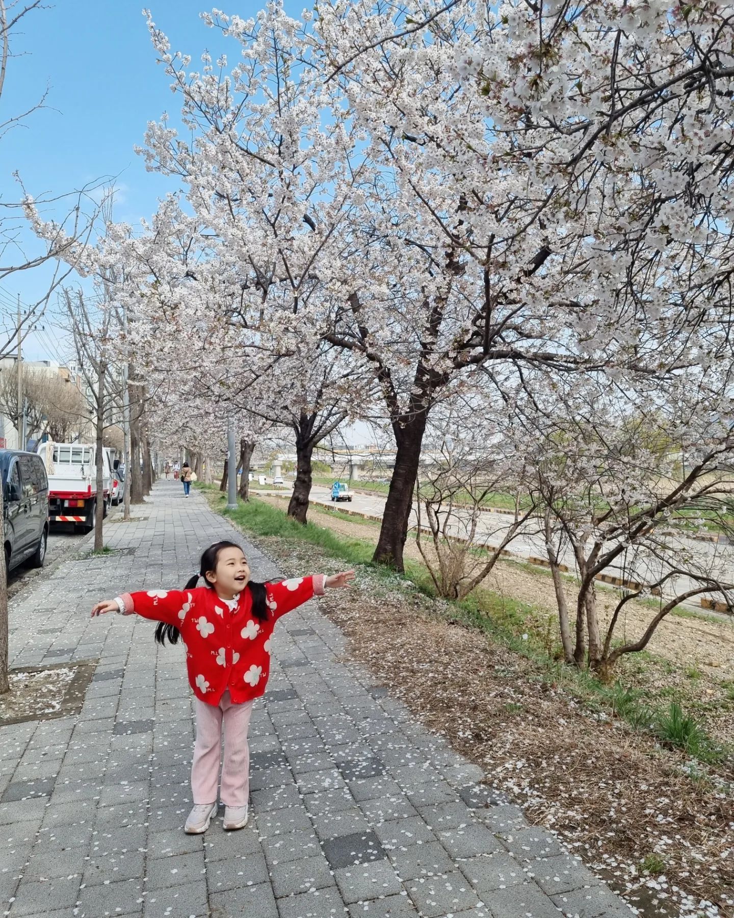 #벚꽃주세요
#벚꽃보러대전까지
#다음날집주변에서_많이_본_벚꽃나무
#굳이대전까지갔네
