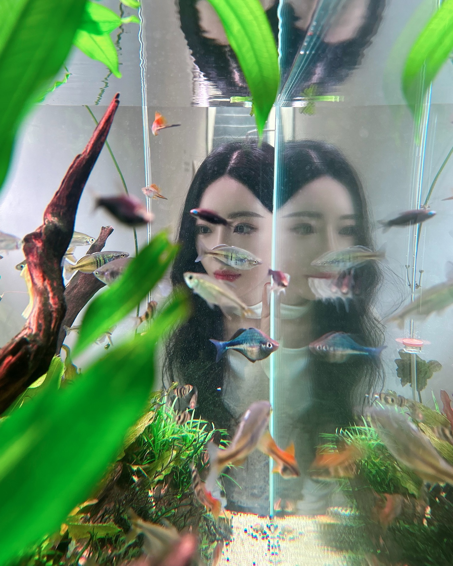 🐠🐠🐠