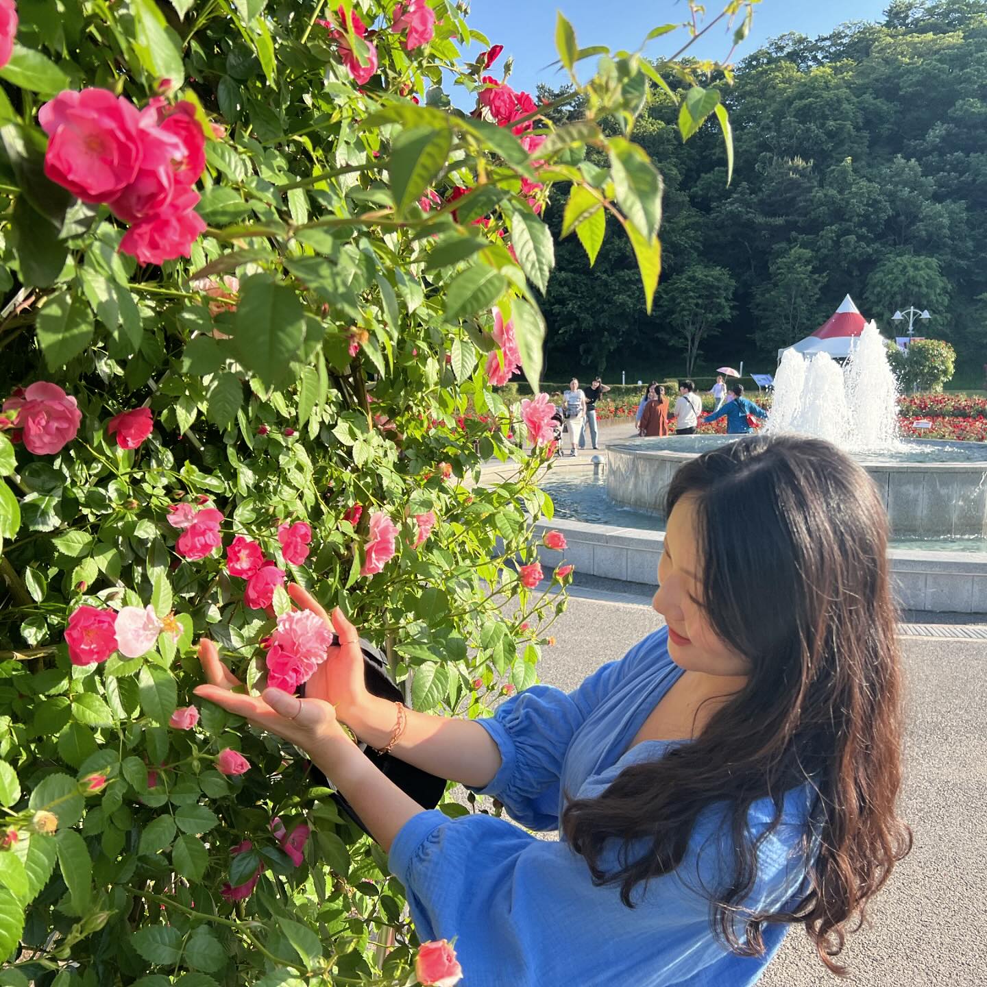 🌹한창 더운 시간에는 울산대공원 수영장 아쿠아시스에서 수영 한판 하다가 물속에서 추워질 즈음 장미원을 추천드리는 바. 토요일도 열심히 썼다 🩷