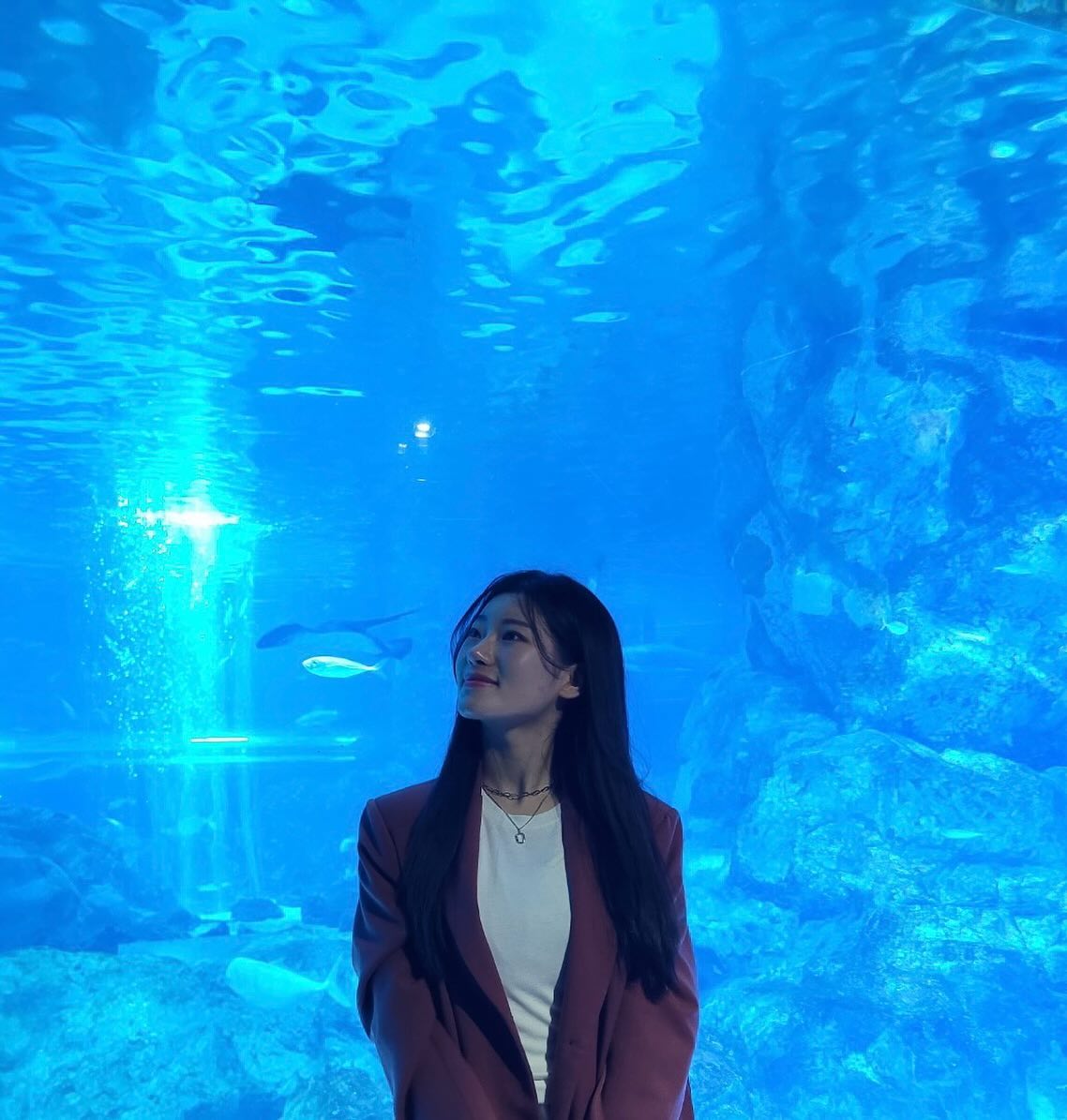 콘텐츠