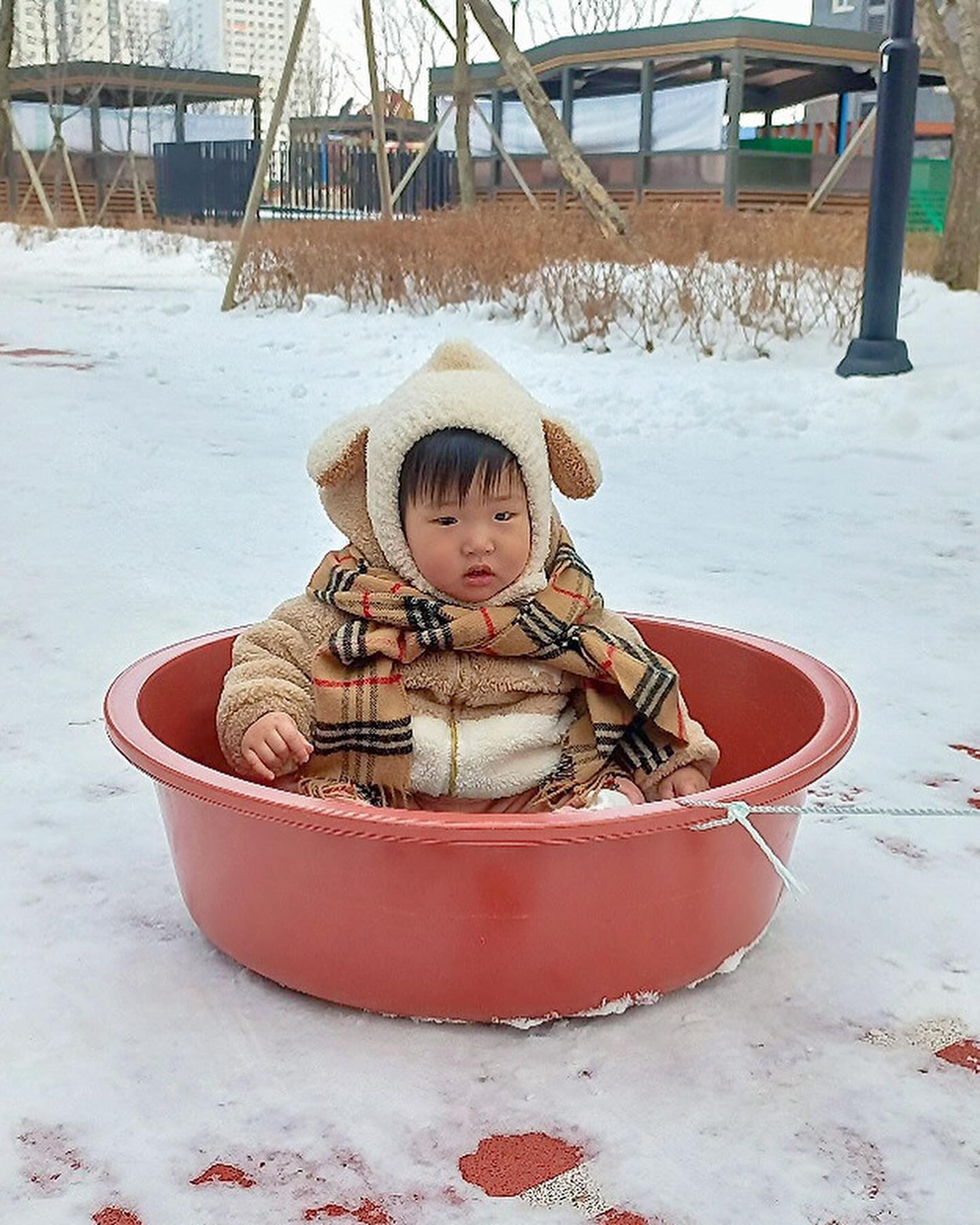 #할아버지의사랑
할미할비보러간 쏘미는 김장대야를 썰매삼아
신나게 눈썰매를 탔다고 한다 ㅋㅋㅋㅋㅋㅋㅋㅋㅋ
손녀에게 눈구경 시켜주고 싶었던 하부지의 사랑이
이만큼이다 쏘미야 ㅋㅋㅋ 나중에 효도해라 ㅋㅋㅋ
#눈구경 #눈썰매 #이거시 #시골감성