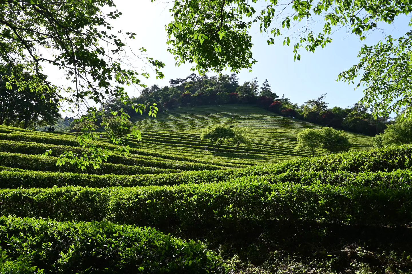 좋은 생각만 하기