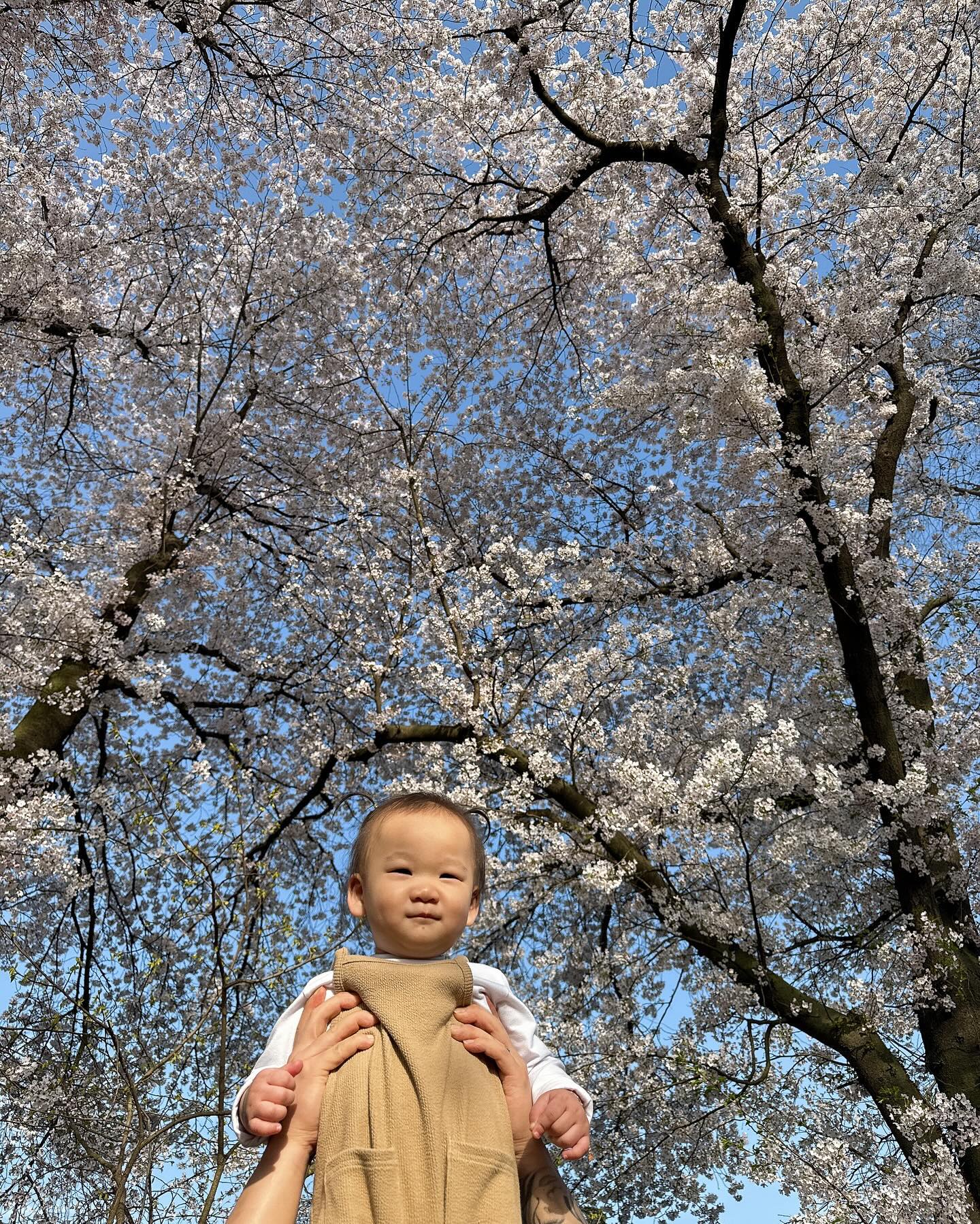 👶🏻+561일🫶

나주 배 박물관 느즈막히 놀러가서 구경하기🌸
벚꽃도 보고 초딩오빠가 서윤이랑 손잡아주고 안아주고
아빠는 질투하고 ㅋㅋㅋㅋㅋ
한옥카페도 있어서 신발벗도 편하게 돌아다니고 아빠랑 술래잡기 한판🤍
귀엽다 증말ㅎㅎ🤍 날씨가 좋아서 기부니가 좋아요~
서윤이도 뛰어다니면서 놀고 이쁨도 많이 받은하루ㅎㅎ🤍

#윤서유니#애교쟁이#나주배박물관#벚꽃구경#아빠의질투🙊#아빠와딸👨‍👧