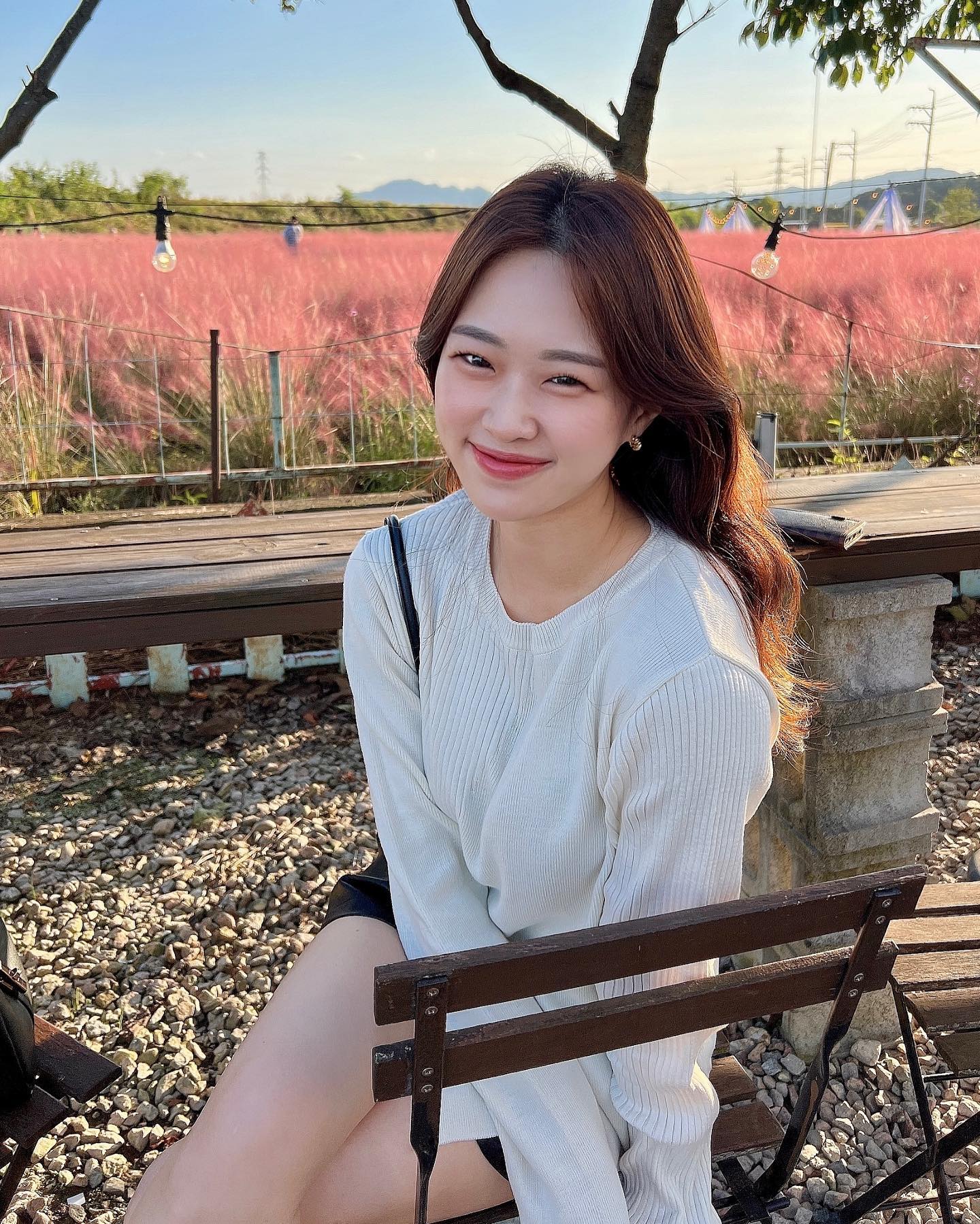 핑크뮬리 보고 많이 신났는지 제 갤러리가 온통 핑크로 물들었어요 .. 💗🎀💞💝 역시 가을이 제일 조하 ! (＊’͜’ )