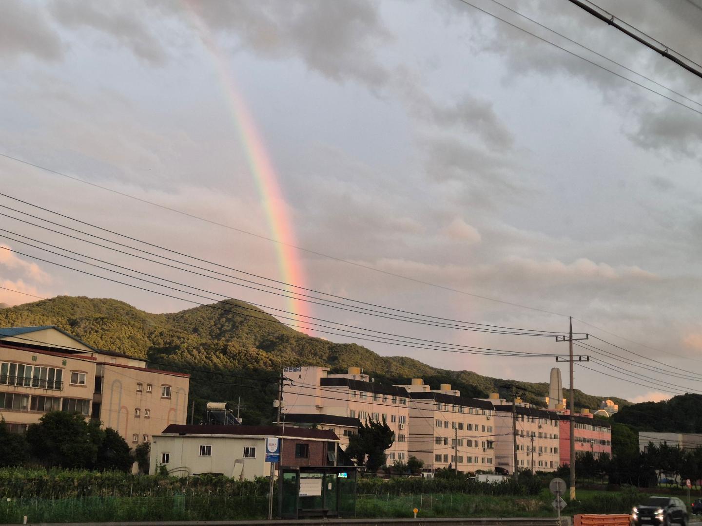 편의점 들렸다가 나오면서 발견한 무지개!
그냥 무지개인줄 알았더니 쌍무지개였네?!!
무지개도 예쁘고 노을진 하늘도 예쁘고~~
힐링되는 느낌~~

#쌍무지개 #무지개 #비그치고난후 #일상스타그램 #워킹맘일상