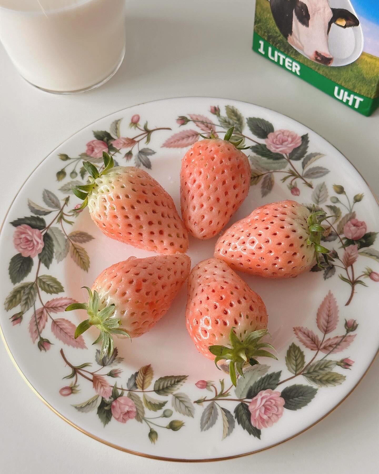 백리향 딸기🍓🤍