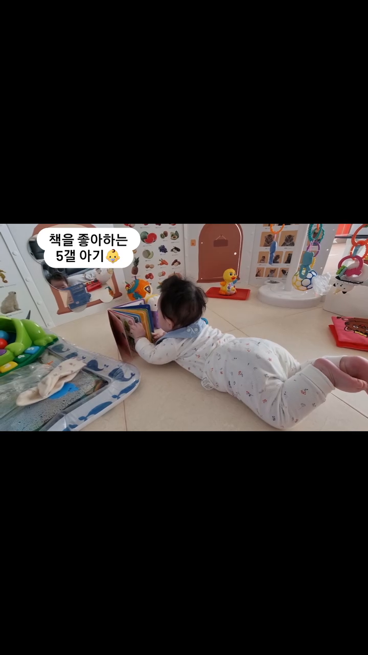 D+162 #육아일기 

책을 가까이하는 아이로 키우고 싶어서
그림책을 놀이처럼 보여주고 놀아주고
함께 보기시작했는데

이제는 역방쿠에 눕히고 책을 보여주면
6~8권의 그림책을 2~3번씩 보며
30분이상을 집중해서 본다

이 월령때 이 집중력이 맞는건가 신기하고
처음 접근을 잘해주었구나 뿌듯하기도하고
엄마의 마음을 알아주고 잘 따라와줘서
고맙기도하다

뒤집고 되집고 굴러다녀서 장난감들을 나열해놓으면
책이 있는곳까지 논스톱🤭

너 너무 귀엽고 기특해❤️🧡💛

#사랑이야  #흑토끼띠 #흑토끼띠맘 #신생아 #육아스타그램 #육아 #육아소통 #딸스타그램 #아기릴스 #딸바보 #육아그램