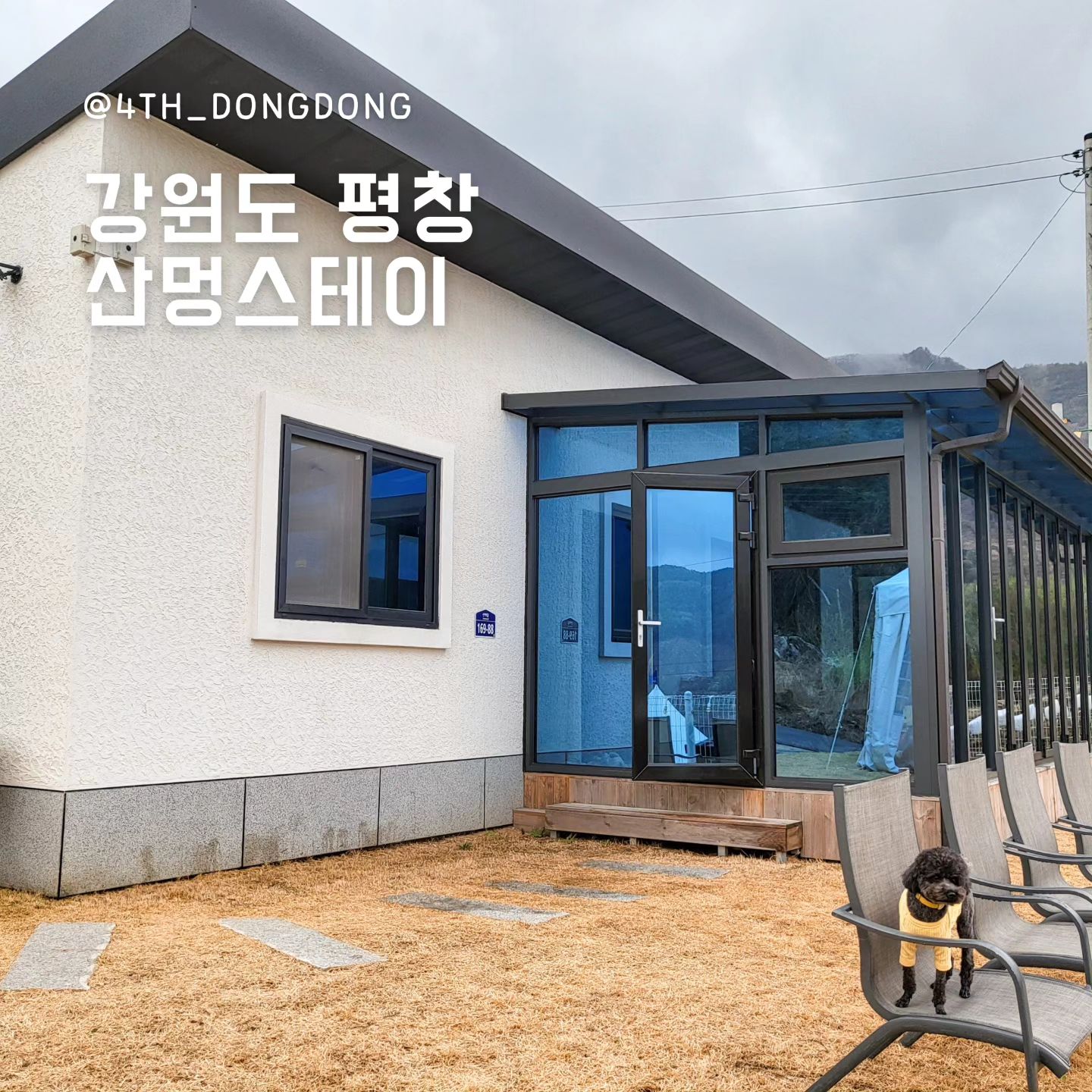 #협찬 #산멍스테이 stay_sanmung

겨리와 동동이의 행복한 평창 여행기❤️
강원도 여행 예정이라면 [산멍스테이]에 꼭 묵으세요 😆
겨리와 동동이는 별뷰 맛집 [별멍]룸에 묵었어요 🤗

🔸️반려견과 아이에게 딱 좋은 숙소, 산멍스테이
넓은 거실에다가 미끄럼방지 바닥이라
겨리도 동동이도 거실에서 우다다다~ 타임 😆
덕분에 겨리와 동동이는 9시부터 취침했대요~
우리만의 작은 캠핑 공간인 썬룸이 있어,
캠핑 느낌도 내면서 힐링 지대로 했지요 😍

🔸️힐링 그 자체인 주변 환경
동동이네가 묵은 별명룸은 별뷰 맛집인데 ✨️
하필 비가 많이 와서 별이 5개 정도 밖에 보이진 않았어요.
비가 와도 별이 보이는데, 날이 맑으면? 별이 쏟아지겠죠?
동동이랑 겨리는 별 보러 또 오기로 약속했다요 😉
산뷰 보기 좋은 산멍룸 ⛰️, 불멍하기 좋은 불멍룸 🔥 도 있어요!
(그리고 4월에 차로 5분 거리, 벚꽃길도 있어요 🌸)

🔸️숙소 컨디션 최고, 산멍스테이
방충망이 제대로 되어 있어 벌레 걱정 확실히 덜구요(저.. 벌레혐오자)
이중창에다 썬룸이 있어 웃풍도 없어요 😍
심지어 바닥 난방도 너무 잘 되고, 물도 콸콸 나와서 👍 
(사장님이 심지어 따끈따끈하게 있으라고 먼저 해주심❤️)

🏷산멍스테이 
📍강원도 평창군 대화면 선애길 169-98
☎️ 0507-1320-1208
📝반려견 동반 가능(반려용품 개인 지참, 2만원 추가)

#평창펜션 #평창펜션추천 #평창애견동반 #평창애견펜션 #감성숙소 #강원도펜션 #강원도펜션추천 #강원도애견펜션 #강원도독채펜션 #평창독채펜션 #가족펜션 #애견동반펜션 #스토리앤체험단 #스토리앤미디어 #평창여행코스