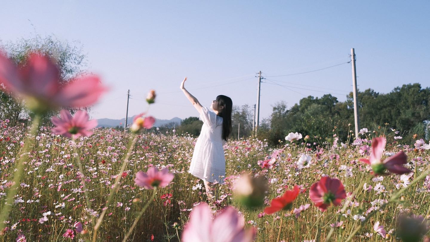 가을빛(2023)