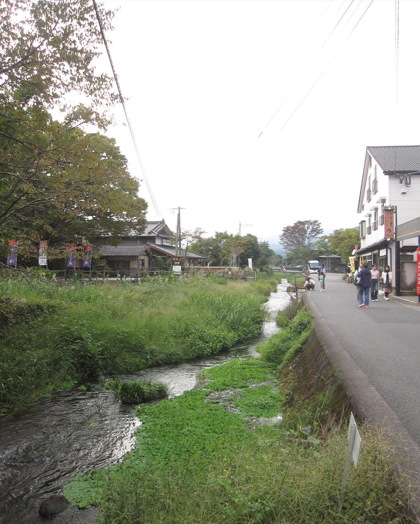 由布院の森