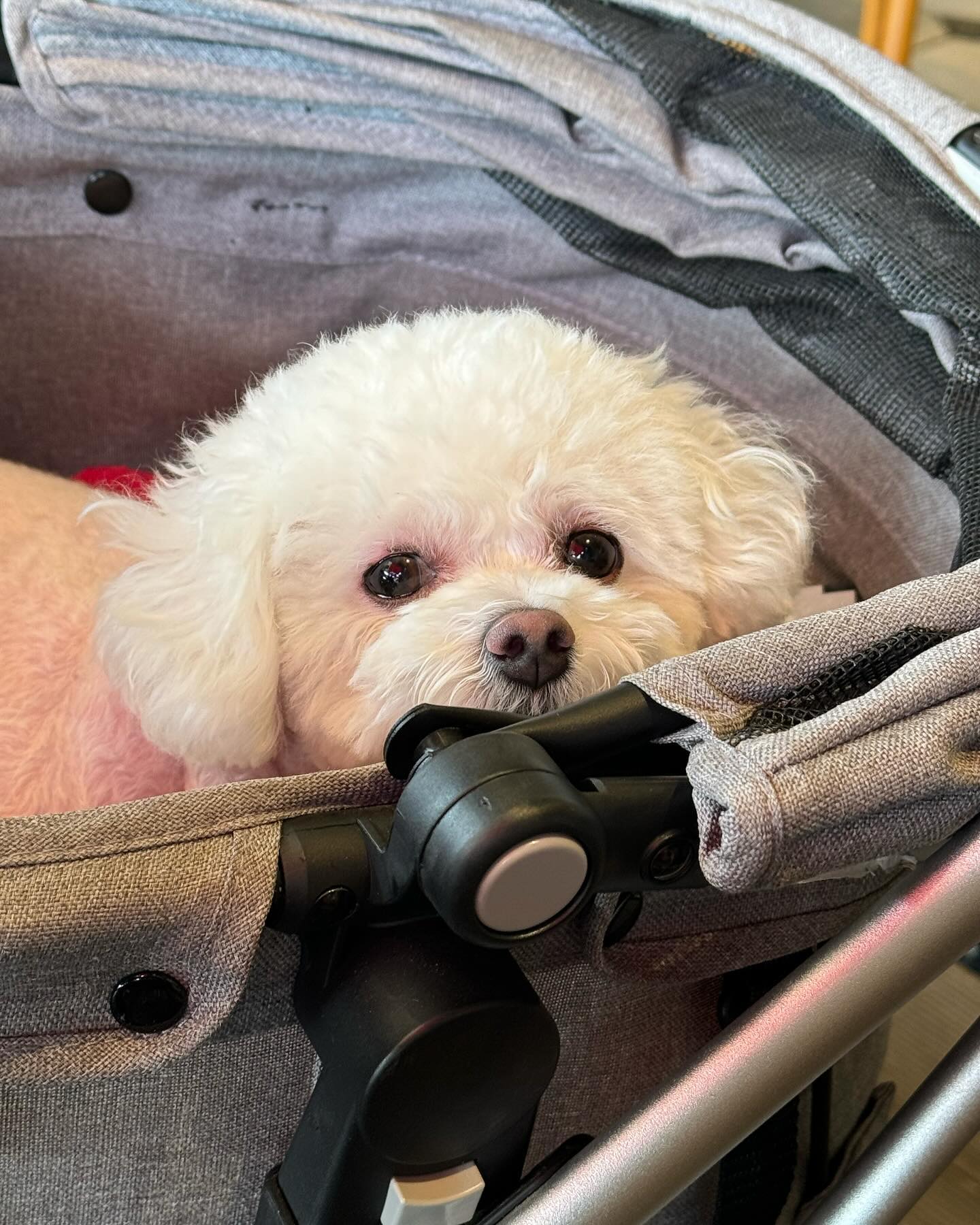 최루나 모음zip🐾💗