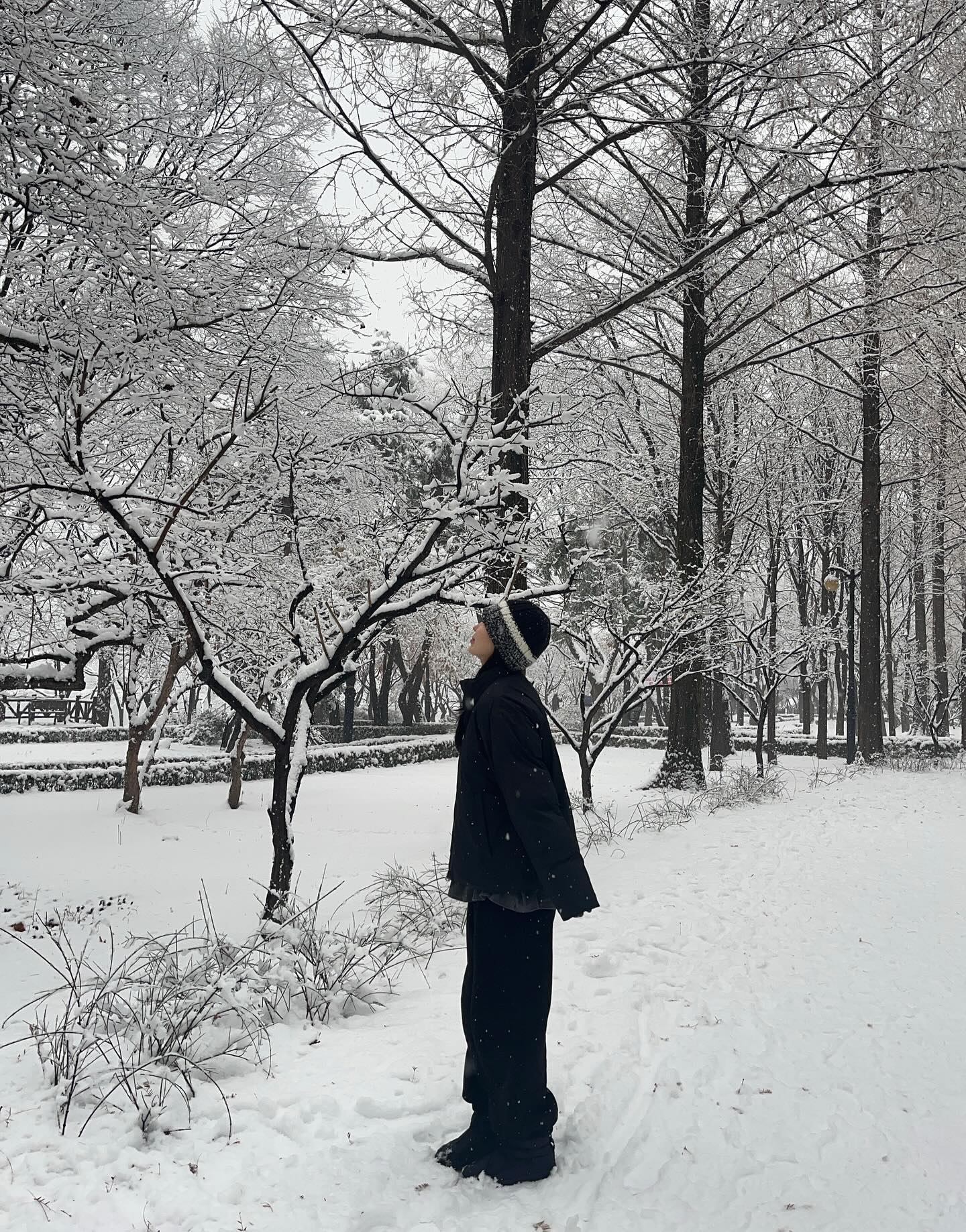 ☃️