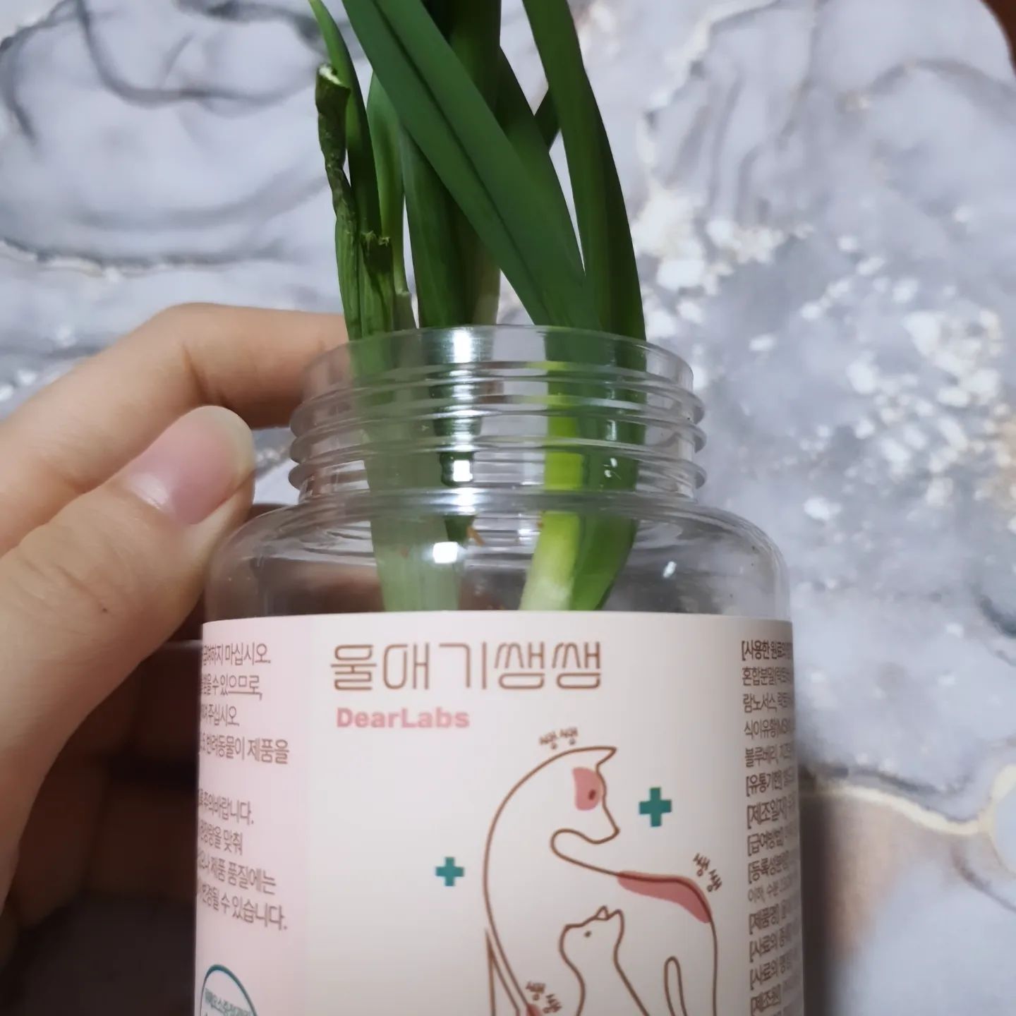 본의 아니게 양파 키우게됨..
양파 은근 빨리 상하네~ ㅎ