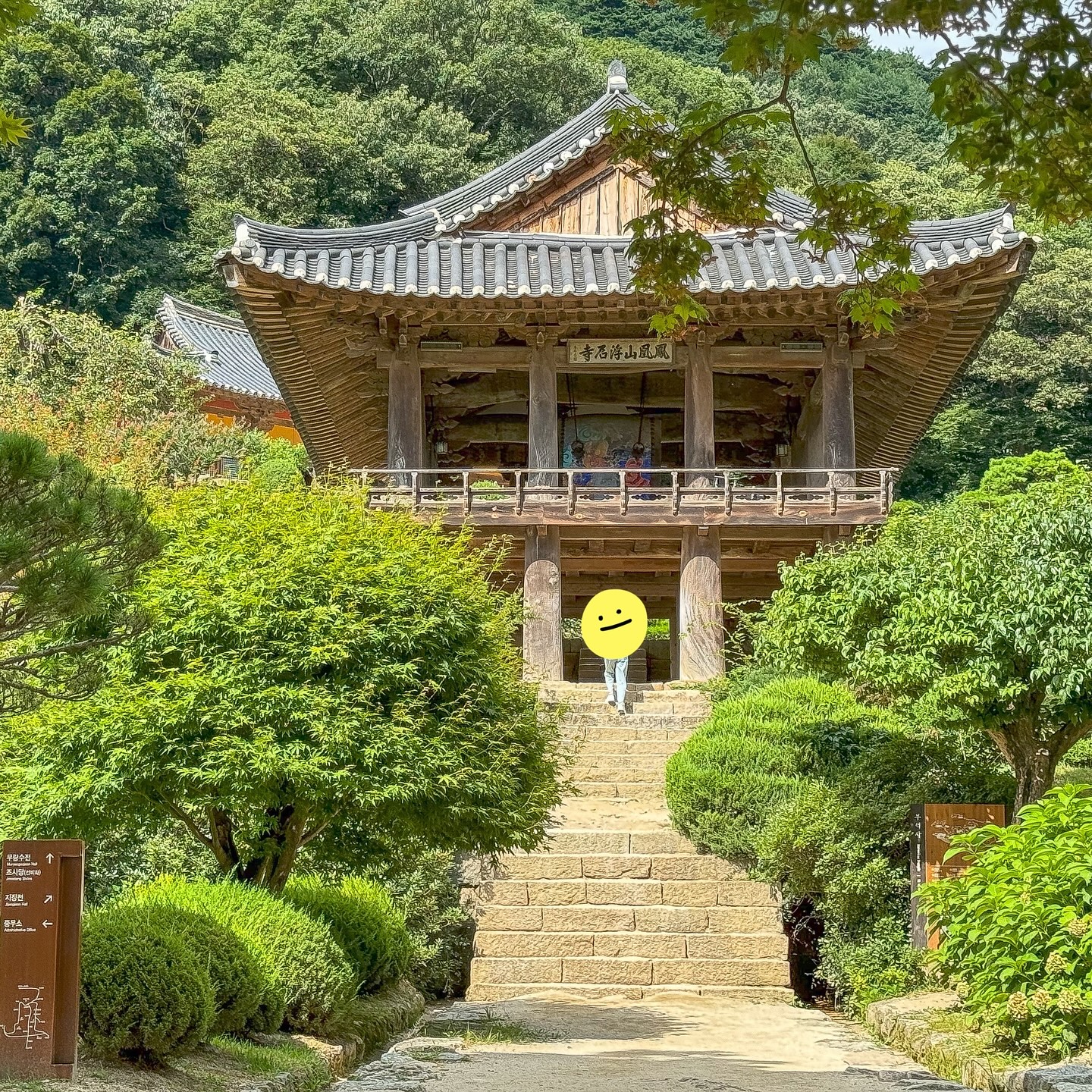 #제작지원

영주 여행중에 들른 부석사! 유네스코 세계문화유산으로 지정된곳으로 풍경이 아름답고 국보와 보물로 지정된 탑과 건출물 그리고 불상을 다양하게 보유한 곳이에요!👍

부석사 산책하면서 자연의 기운(?)을 받으며 힐링했어요!☺️

거기다 영주 맛집인지 쌈밥이 너무나 맛있어 배터지게 먹고 왔답니다!😋

#영주여행 #중부내륙여행지 #영주맛집 #영주쌈밥 #부석사 #영주부석사 #윤훈식농가쌈밥