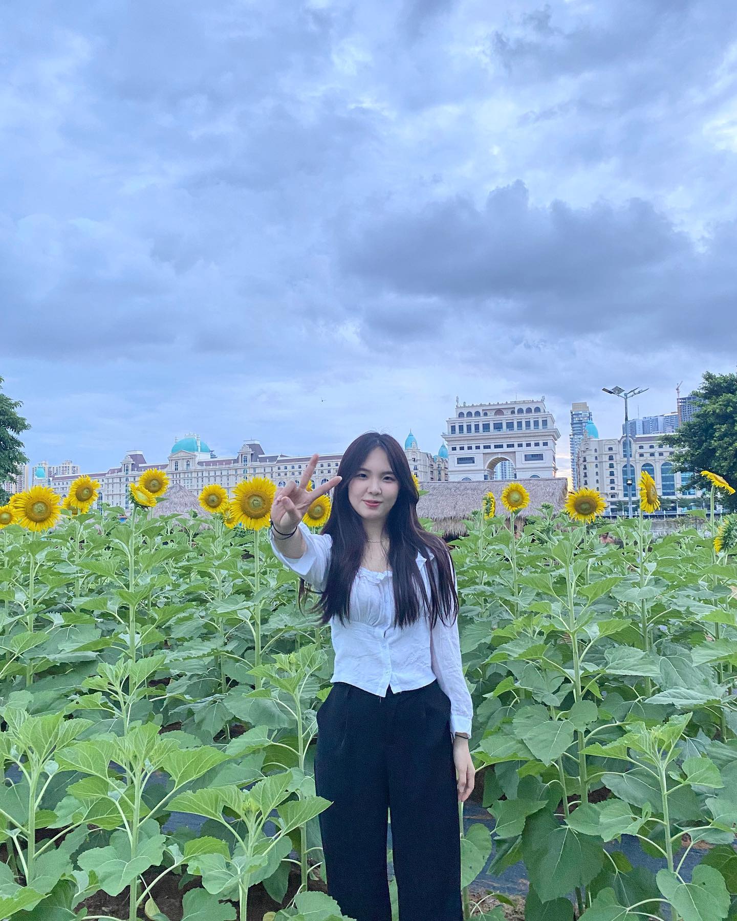 🎈Norea Garden
 One of my fav flower✨🌻

#phnompenh