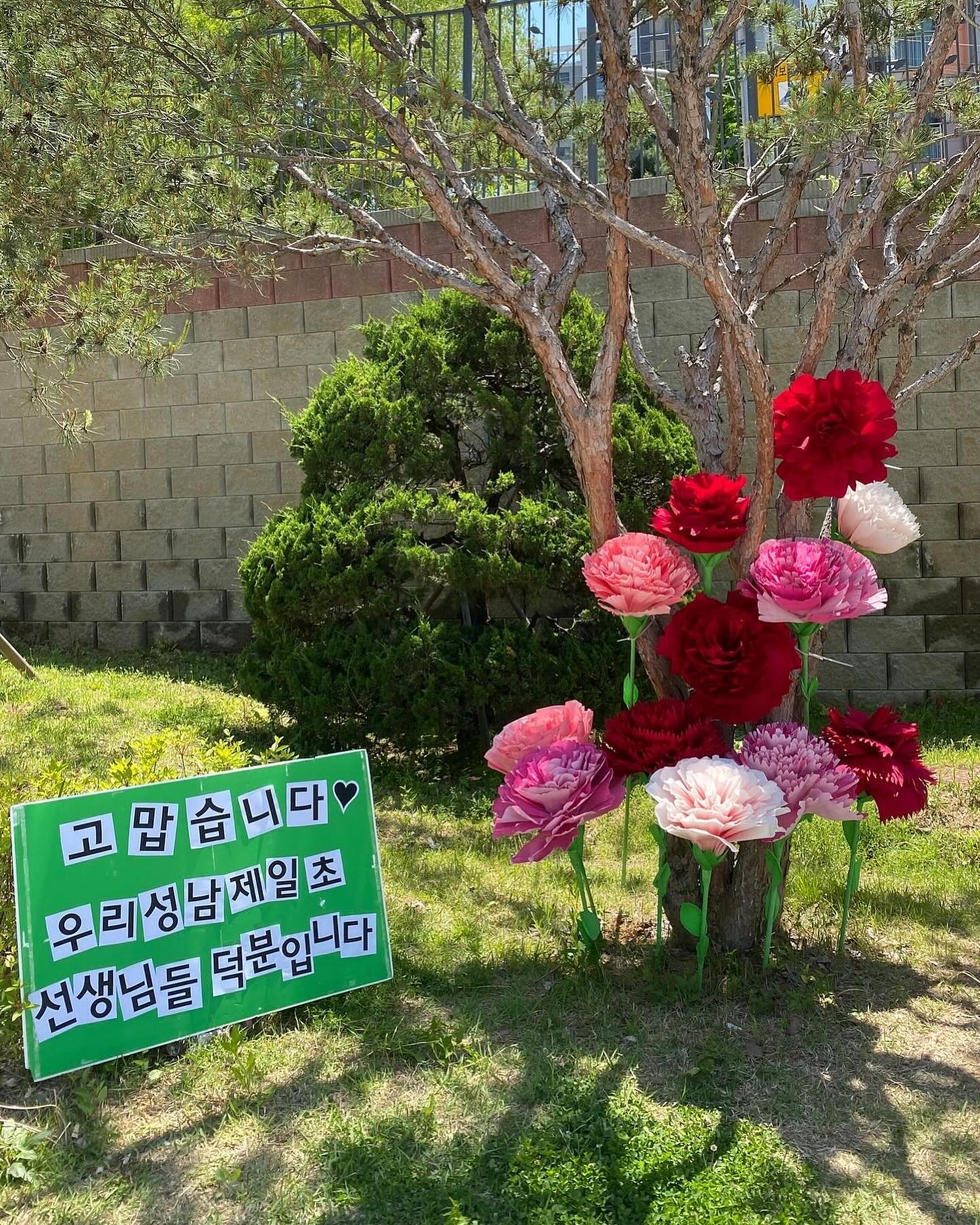 -
2024 #성남제일 #감사주간 ☺️🌷💕
작년엔 나혼자 두송이 만들었는데 올해는 내가 나름 재능기부 특강(?)을 열어 무려 10명이나 오셨다! ㅋㅋㅋ 그래서 이렇게 멋진 포토존을 꾸밀 수 있었음. 😊 다들 감사합니다💖

비록 수요일에 비소식이 있어 화욜 오후에 철거했다가 목욜 아침에 재설치 했지만.. 다들 반응이 좋아서 다행이고 감사했음😊🌸

우리 성남제일초 선생님들, 직원분들 고맙습니다☺️💖
그리고 저를 도와주시는 학부모님들도요💕