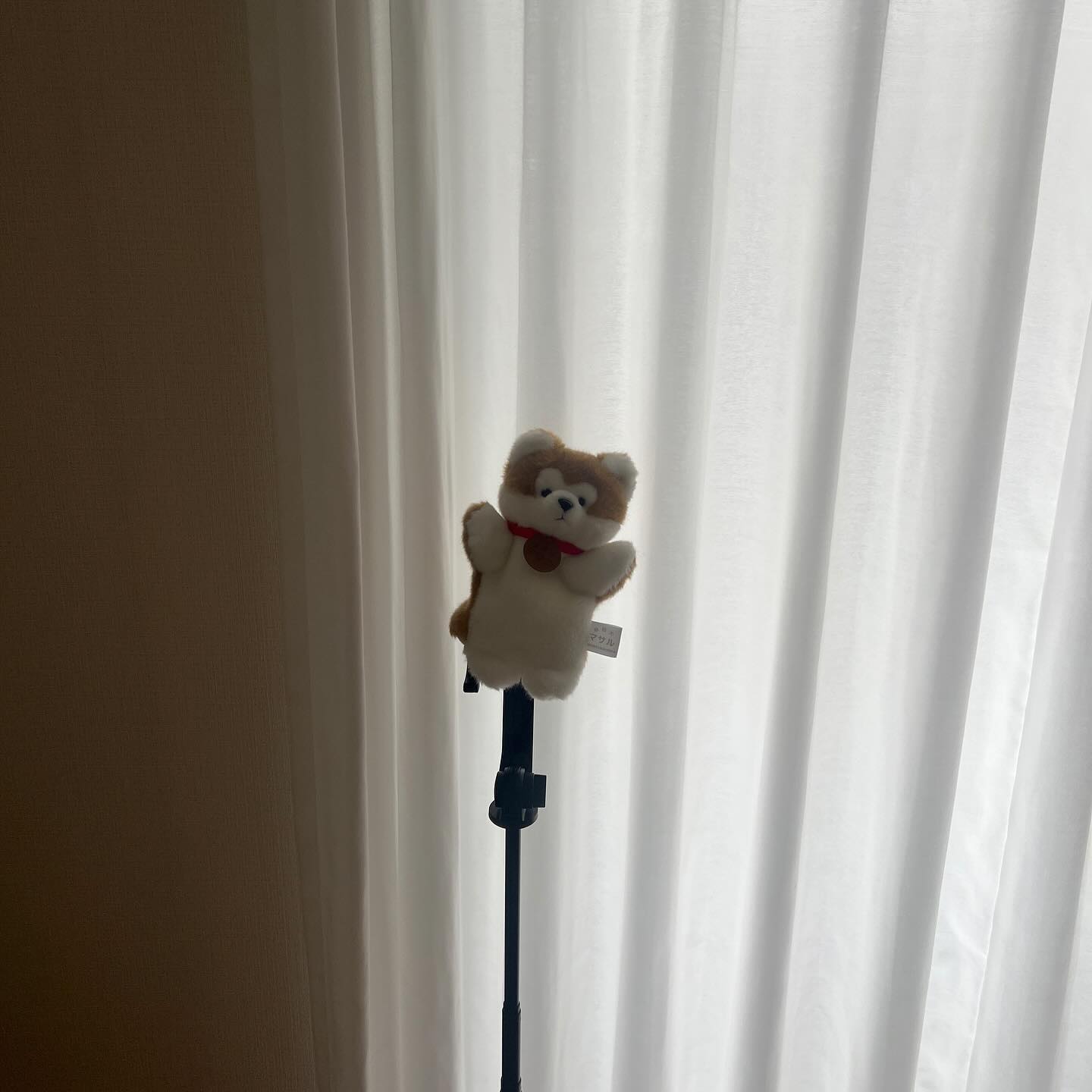 急な鎌倉行も楽しかった今週
実は色々な気分になった今週だった。
また絶望感も感じたり、寂しくなって生きるに厳しさ
力不足を感じたけど。また、いく先わからないけど。
今ある力でなんとかいき切るしかないと思った週間でした。