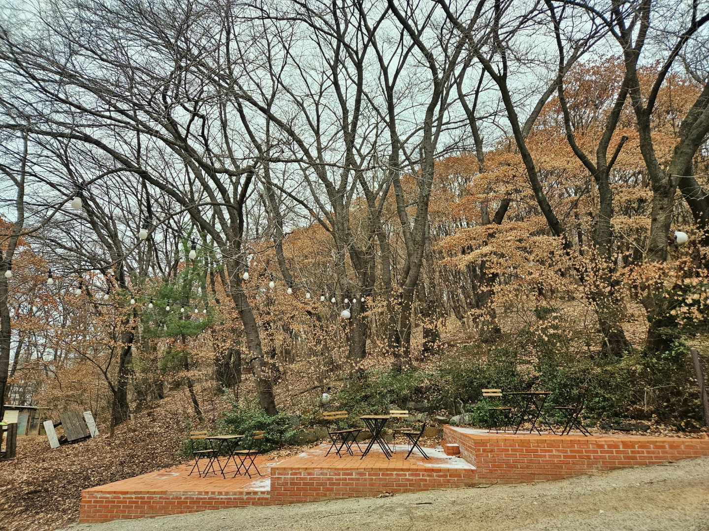 눈뜨자마자 구체적으로 먹고싶던🌿
이건 브런치가 아니라 온전한 아침밥☀️
.
.
.
.
🥕
.
.
.
.
.
.
#주말 #주말일상 #주말스타그램 #브런치 #브런치카페 #아침 #데이트 #데이트그램 #일상 #daily #sundayvibes #weekendvibes