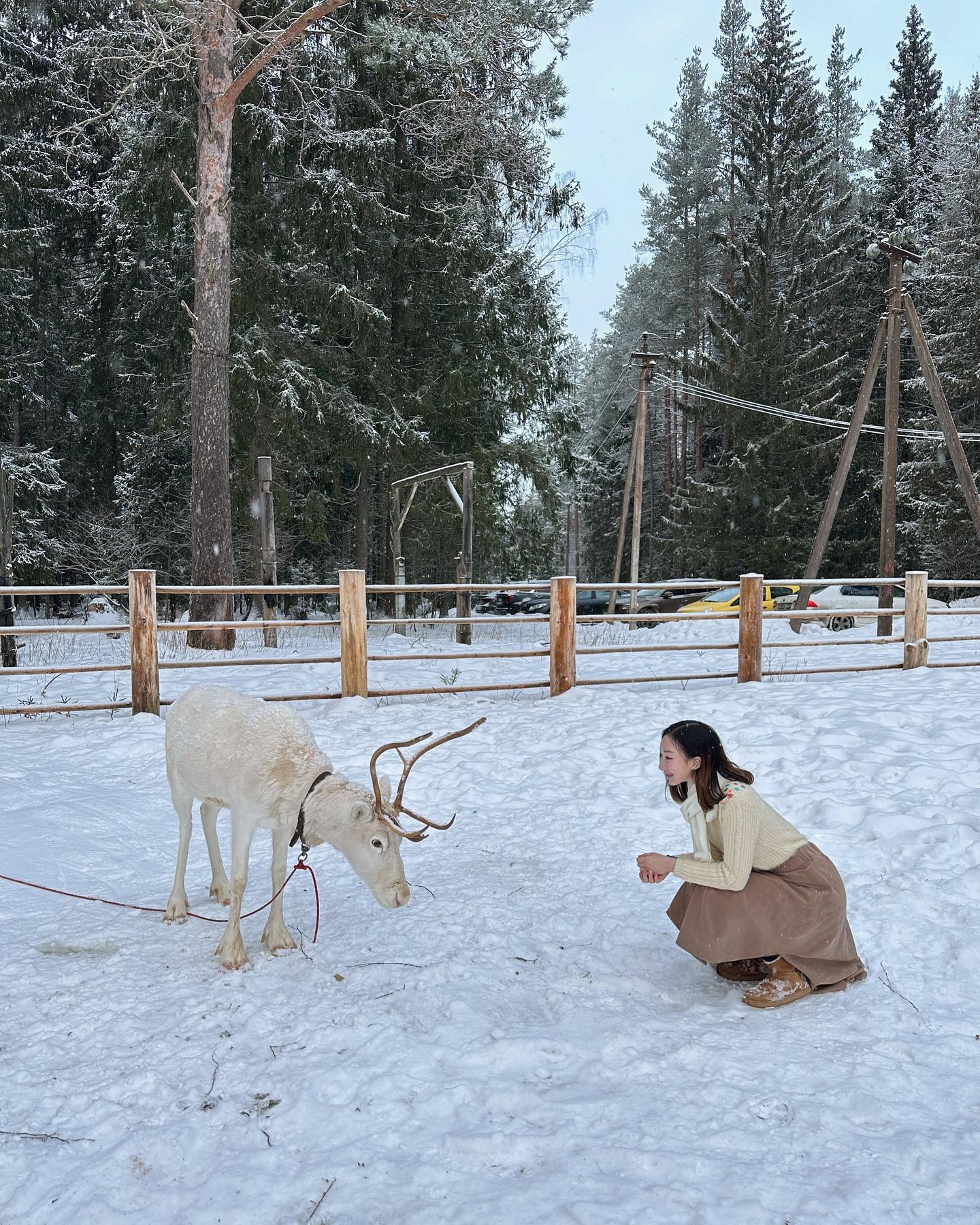 Сказка в зимнем лесу🦌❄️

 ⠀

 ⠀

#олень #санктпетербург