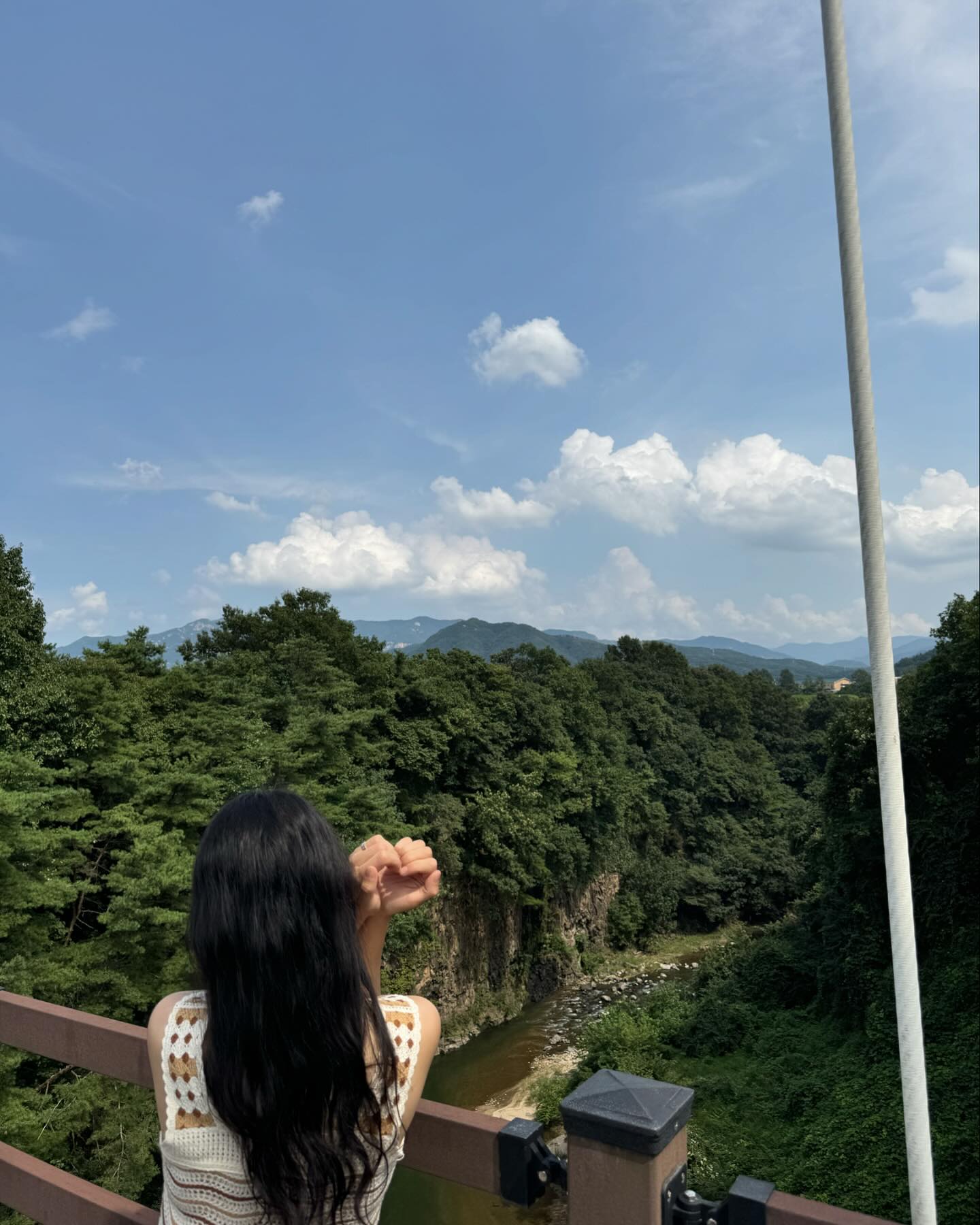🌳🌱🫶🏻