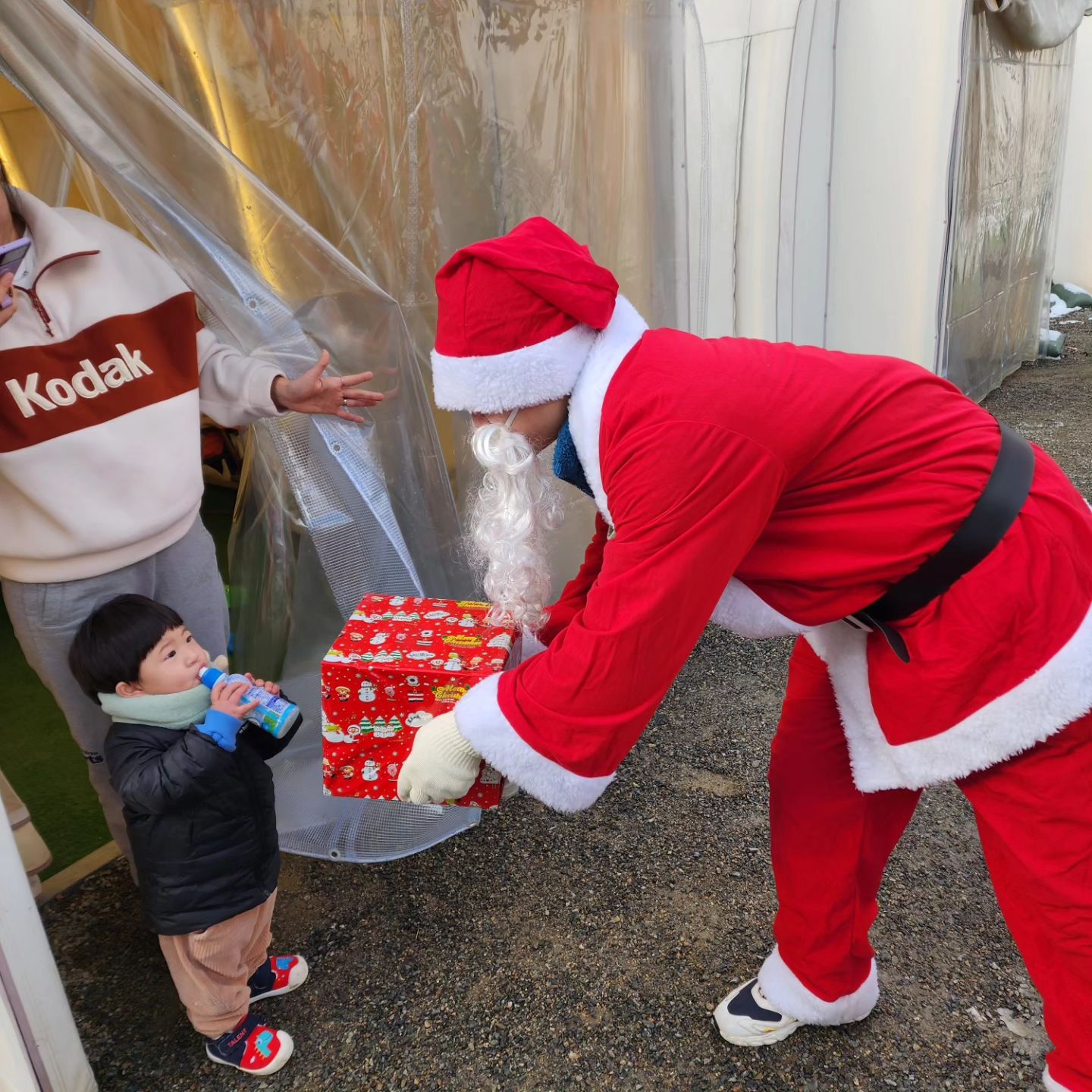 💕💕💕💕💕💕💕💕💕💕💕💕💕

즐거운 크리스마스🎅🎄 <양주르 2탄>

엄빠가 미리 준비한 선물도 산타할아버지 통해 받는
이벤트가 있어서 한껏 기대했는데 우리집아가들 낯가려서 산타할부지에게 가까이도 못가서 아쉬움이😂😂😂

그래도 아빠가 구워준 맛있는 바베큐 세번이나 리필해서 먹고는 진서가 갑자기 와인잔에 뽀로로음료 달래서 줬더니 너무나 잘마시는 모습ㅋㅋ 미래가 보인다보여🤣🤣🤣

이와중에 아빠는 눈싸움 완전 진심으로 하는거아님?ㅋㅋ
엄마도 질수 없으니깐 얼음처럼 단단하게 만들어서 던짐ㅋㅋ 지금생각해보니깐 애들보다 더 신났던거같은...ㅎㅎ
진짜 처음부터 끝까지 너무너무 좋았다ㅎㅎ

집오는 차안에서 우리집 겸둥이 셋이 나란히 기절❤️

#메리크리스마스🎄 #양주르 #눈싸움에진심인아빠🙋🏻‍♂️