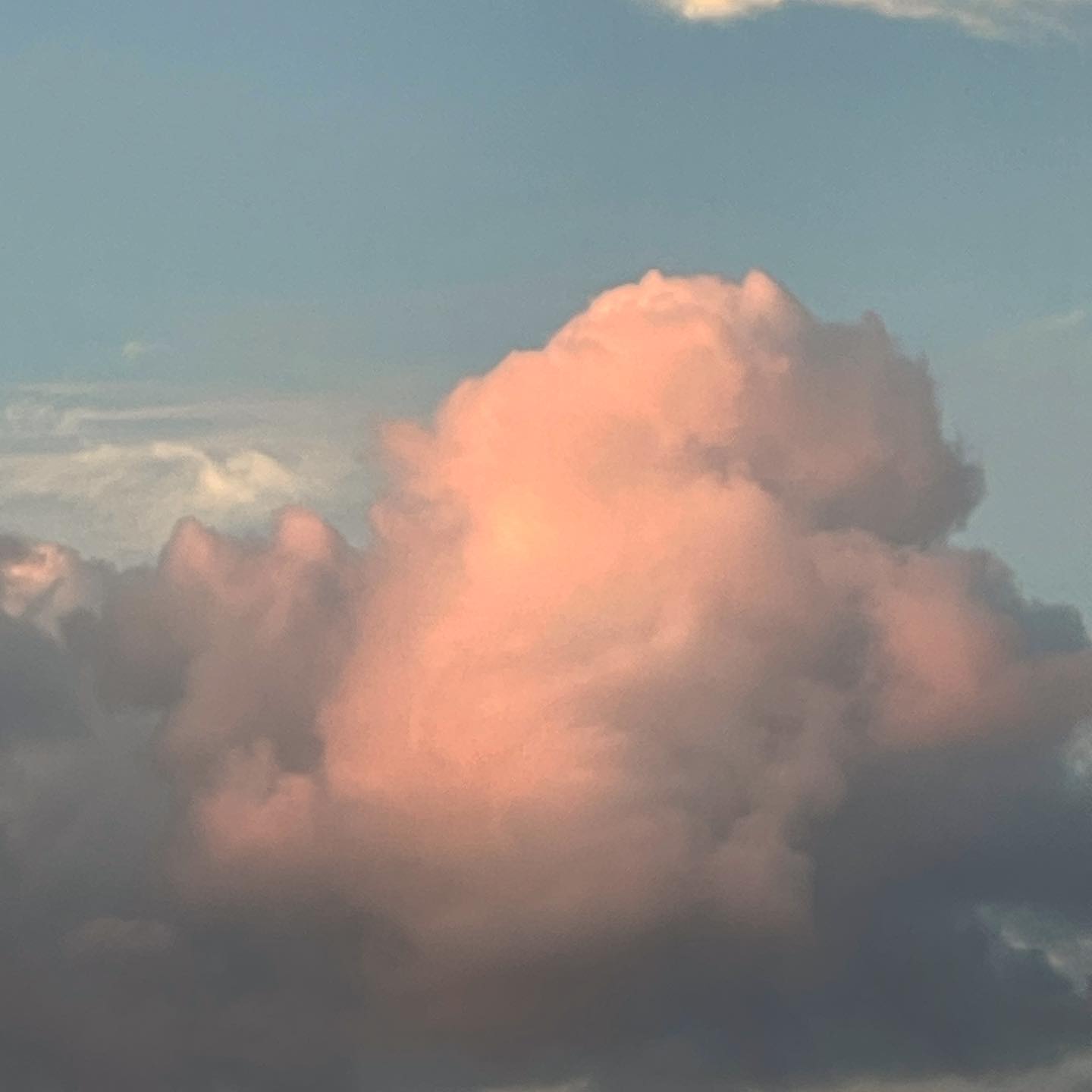 ☁️🩷

일하기 싫으니까.. 사진을 올려본다 ㅎ