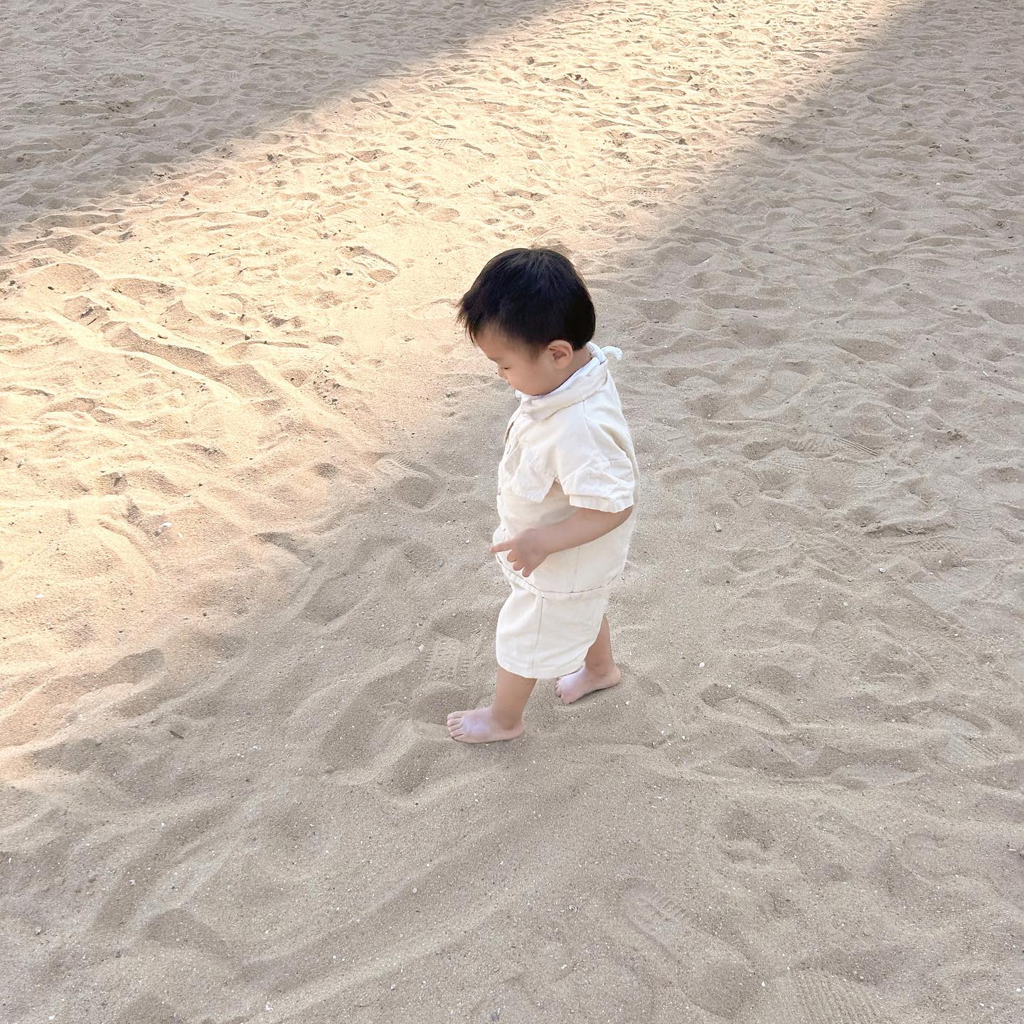 🌊⛱️🐚🤎
