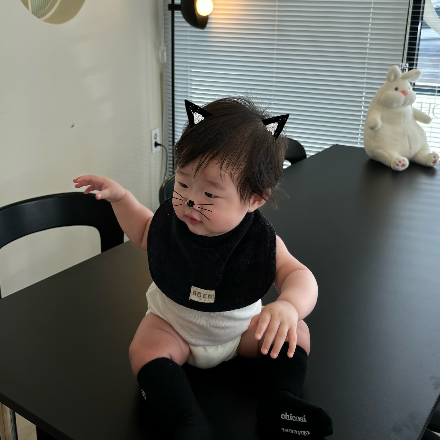 미야오 🐾
