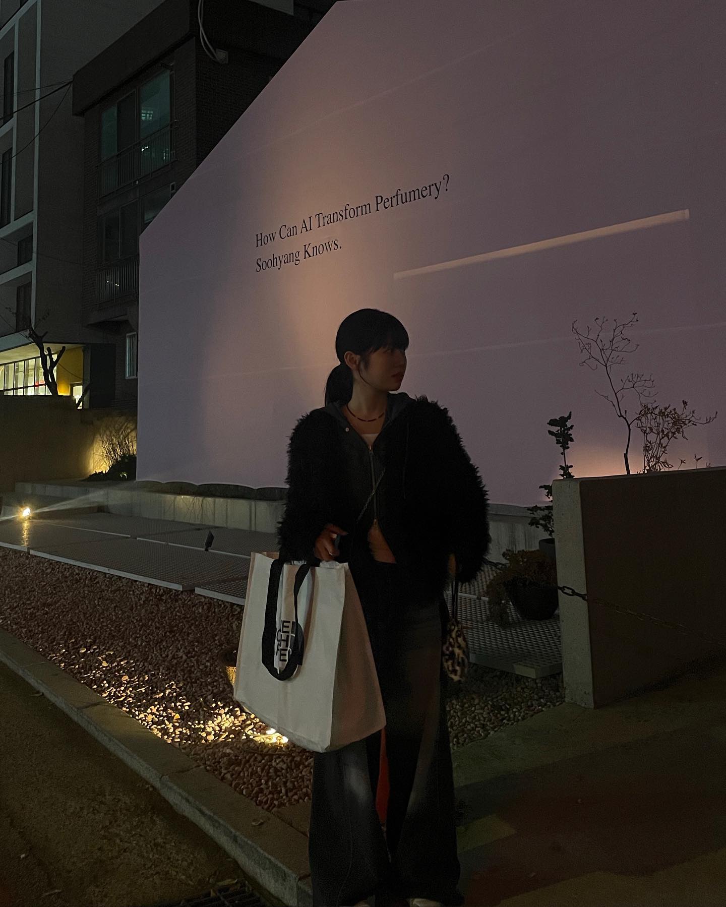 성수동 길거리에서 닭 세마리를 만날 확률은?