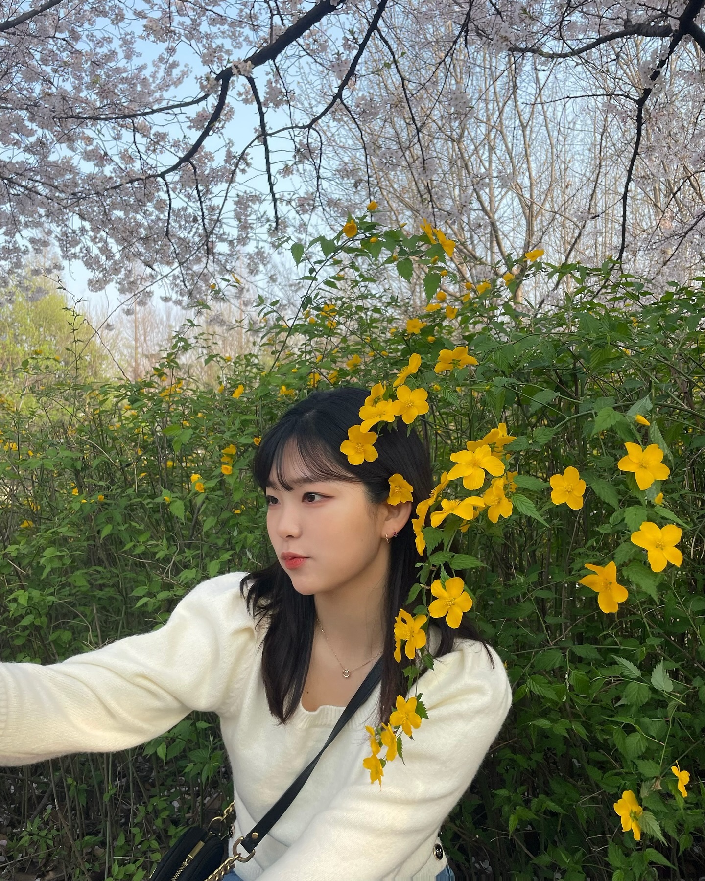 콘텐츠