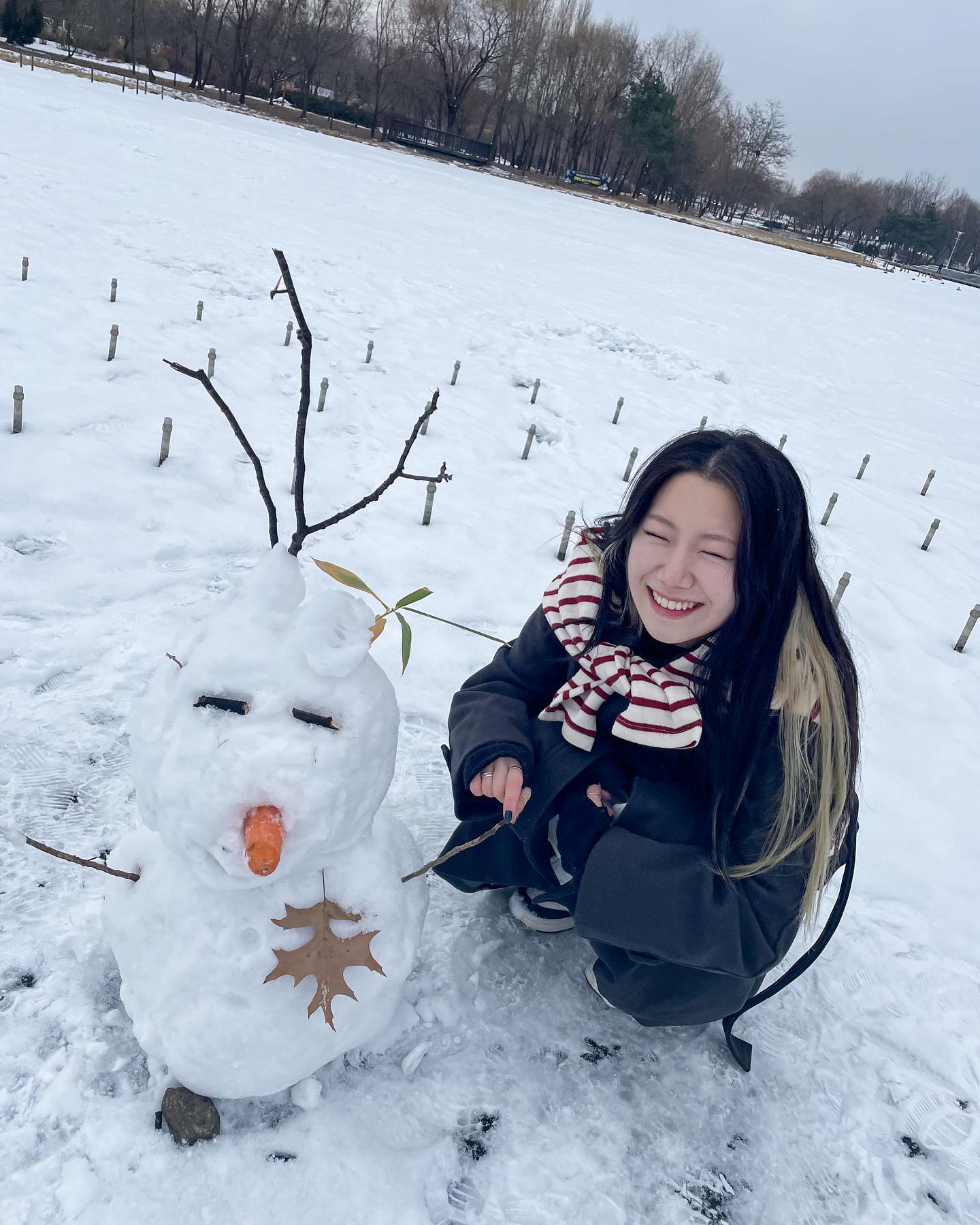 ⛄️🥕
