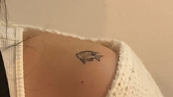 물고기맘이 된 근황.•*🐠*•.~
