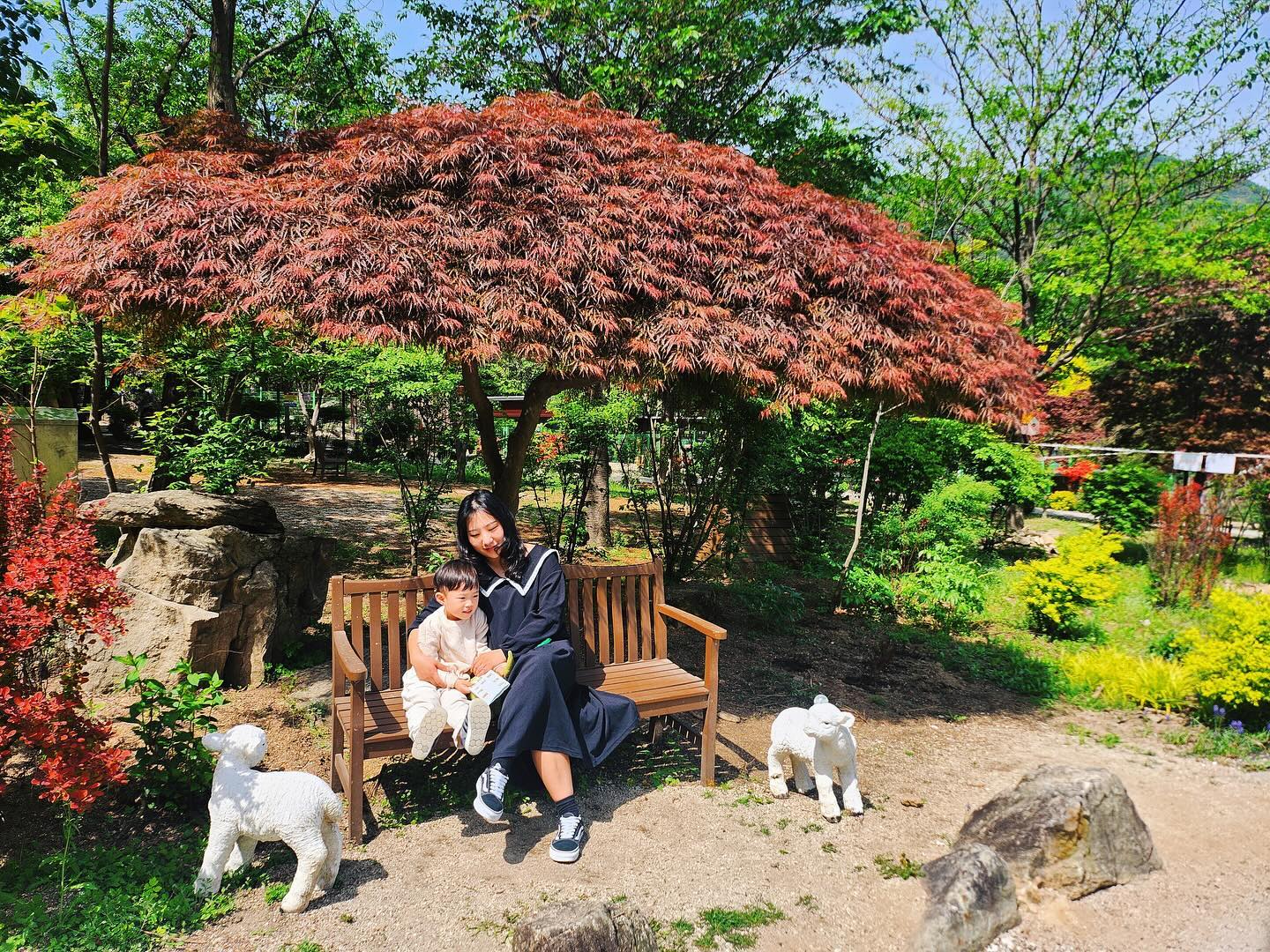 동물원 가자고 가자고 노래를 부르셔서
아침부터 #아침고요동물원 #오픈런 😎

오늘 날씨한번 화창하고 #그냥여름날씨 🥵
살얼음 동동띠운 물냉면이 저절로 생각나는 날씨였지만은 
결국은  불판앞에서 #닭갈비 먹으면서 땀빼고 ㅋㅋㅋㅋ 
애둘 밥맥인다고 진땀도 빼고 아주 막판에 영혼도 털릴뻔 🫠

집으로오는 차안에서 한준이가 
“음~ 우리 이제 어디로 놀러갈까?” 라고 물어보는데 
#잘못들은줄 🙃
#그만큼재밌었다니다행 
#뿌듯하다 😘

⠀⠀⠀⠀⠀⠀⠀⠀⠀ 

⠀⠀⠀⠀⠀⠀⠀⠀⠀ 

⠀⠀⠀⠀⠀⠀⠀⠀⠀ 

⠀⠀⠀⠀⠀⠀⠀⠀⠀ 

#240428 #가평 #주말나들이 #이제여름 #우리아들머리마를날없는계절