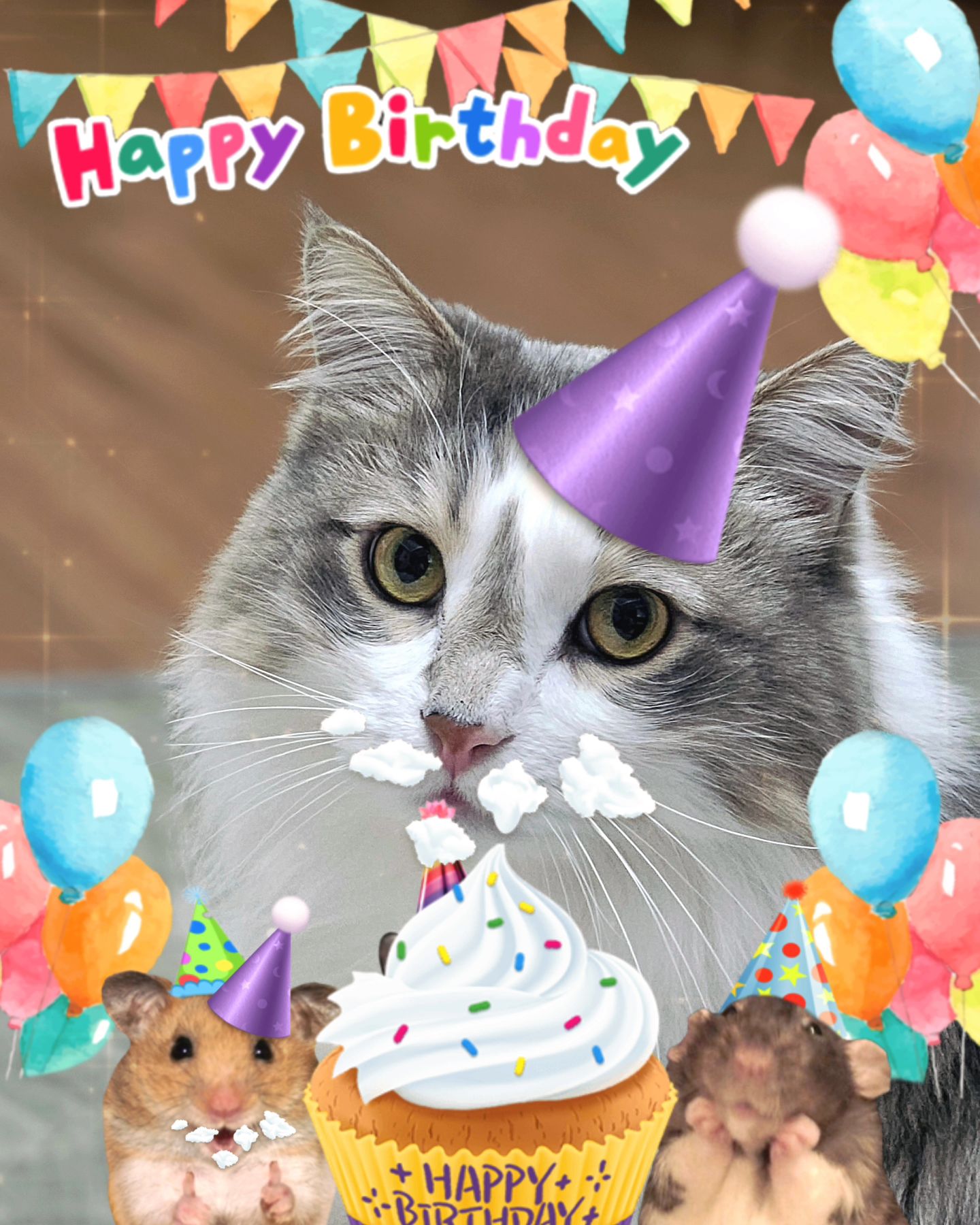 🎂Happy birthday to 시온🎂
시오니 오늘 8번째 생일 이에오 애옹!
언제 이렇게 잼민이 초딩 나이가 된건지 집사 감동 😂😂😂

<올해 선물은 두구두구두구 🎁>

건강을 위해 ' #줄기세포치료 ' 추가로 한번 더 집사가 결제하기루 했습니당 후훟
올 초 3회 치료 이후 너무 달라진 시오니의 모습 한번더 8살 기념으로 집사카드 준비 되었습니당 🎁

이사 때문에 너무 정신이 없어서 생파도 오늘 날짜 맞춰서 못열어준 죄ㅠㅠ
다음주 중으로 애기 시오니 생파 사진 깜찍 컷 올려보겠습니당 🩷🩷🩷

시오니 내 아들 항상 건강길만 걷자 사랑해 🎂🩷🎁

#고양이 #노르웨이숲고양이시온이
#시온이생일 #고양이생일 #생일선물
#고양이스타그램 #사랑해시온 #내새꾸 #귀여운고양이 
#猫写真 #ねこのいる生活 #catlovers