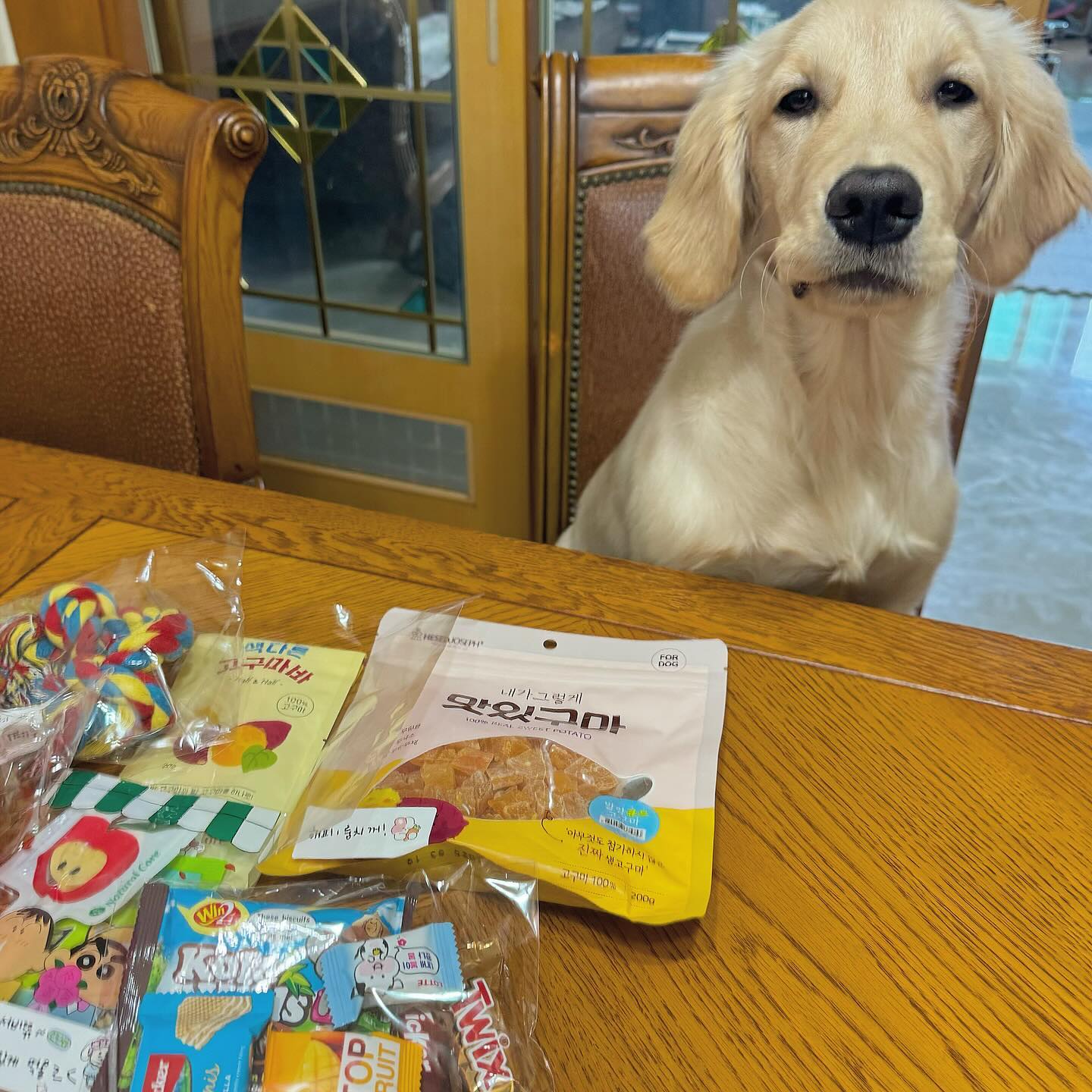 안농 칭구들! 🐾🐾
이벤트 당첨되서 엘리임오가 선물 보내줬지롱!!!!😝

고구미 간식 당첨됐는데 장난감까지 보내주구 
옴망이 간식도 챙겨줘떠!!!!❤️

나 완죤 감동 받아짜나 🥰🥰 
장난감 맨날 가지구 놀꼬야!! 

고구마 내 최애인데 ㅜ 엘리 체고야 💖
나 오늘 너무 신나자나!!! ❤️
엘리야 좋은 이벤트 열어줘서 고마워 사랑훼😘

좋은 영향을 받아 나도 팔로우 천명되면 이벤트 열려구!!
언제 천명이 될지 모르겠지만 ㅜ 

친구들아 🏷️ elly___1206 팔로우 많이 해줘!! 
해피룽치꺼두!! 히힛❤️❤️