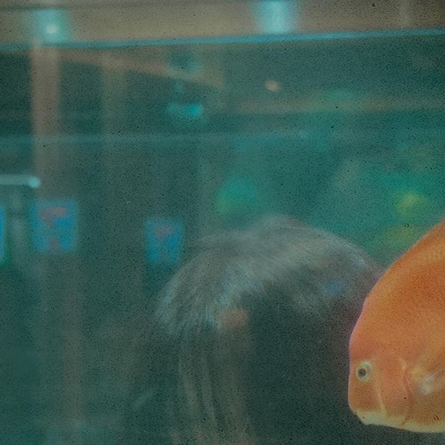 양희진ᵕ̈ on Instagram: "아쿠아가든🐟 • • • #아쿠아가든 #스냅 #스냅사진 #스냅촬영 #스냅모델 #상호무페이 #상호무페이모델"