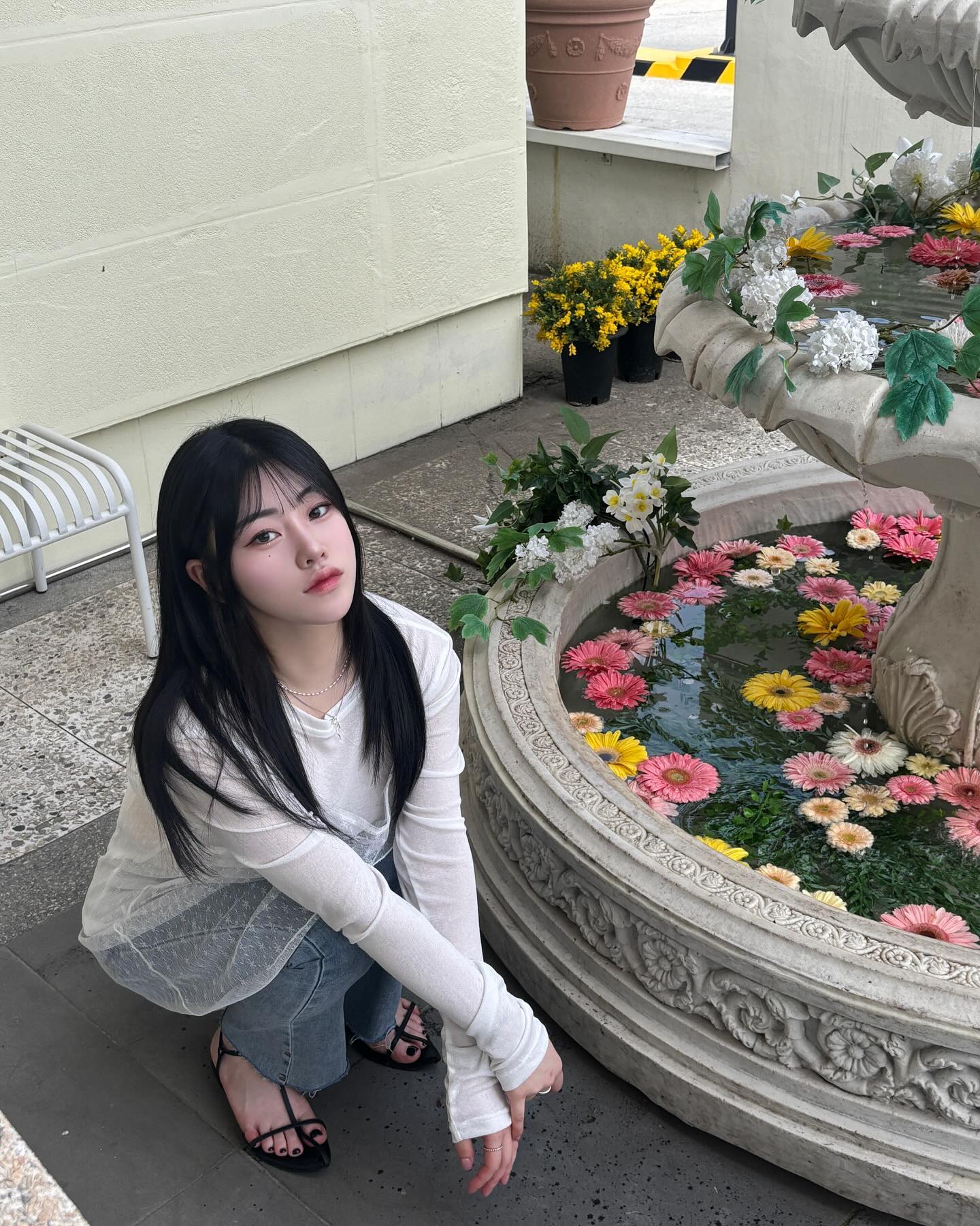 💐🐈🌬️
